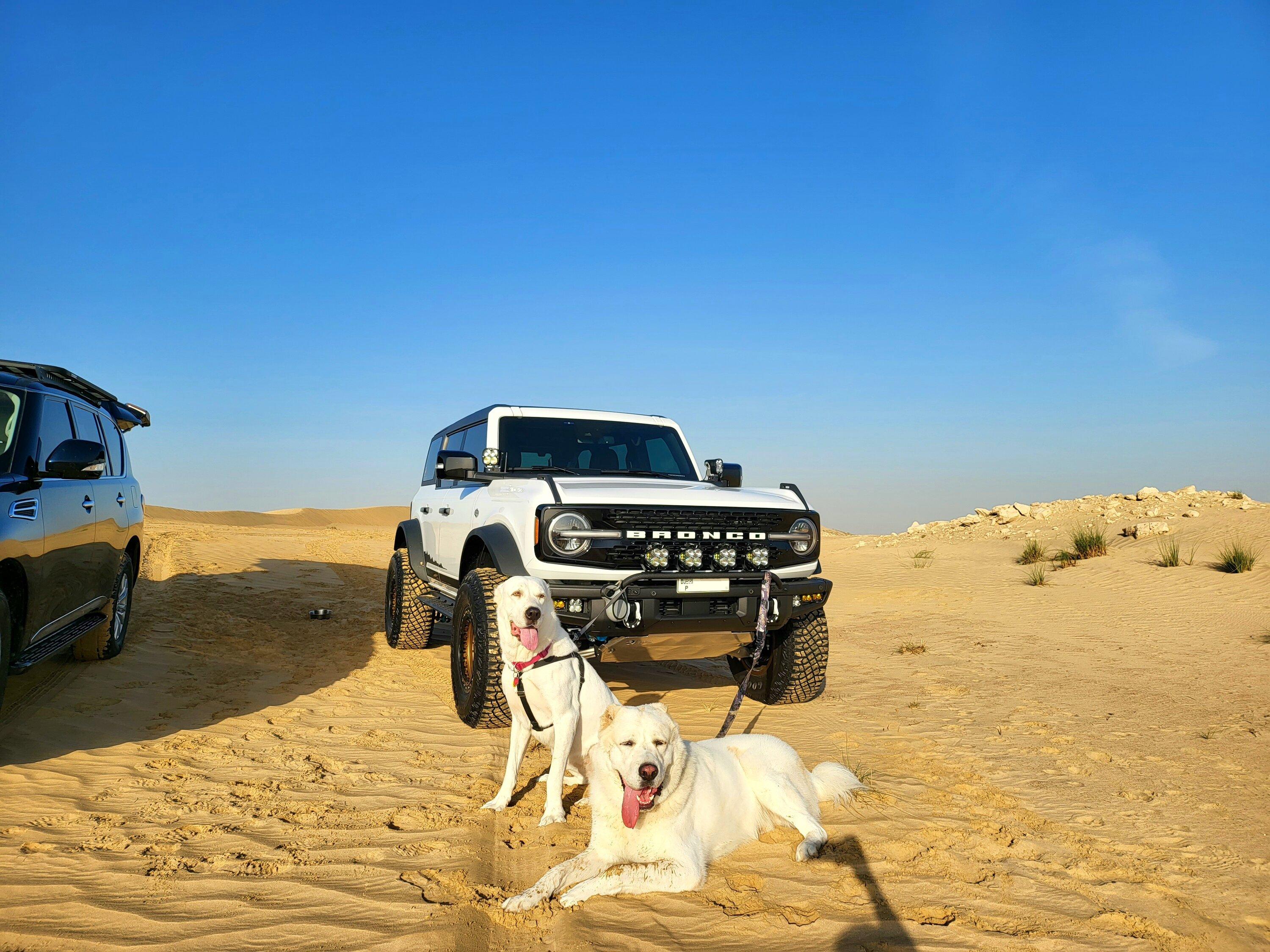 Ford Bronco Then Versus Now! Transformation Time! 20230218_081757