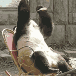 e2irfwm5j3dnaloo625ztje4trvzupiuwj5feoj4&rid=giphy.gif