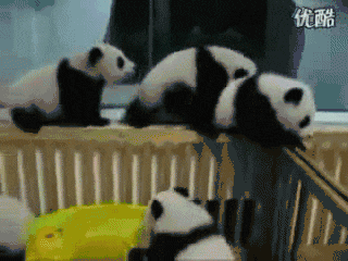 00340e4ed1007334d4db5f61453b3586.gif