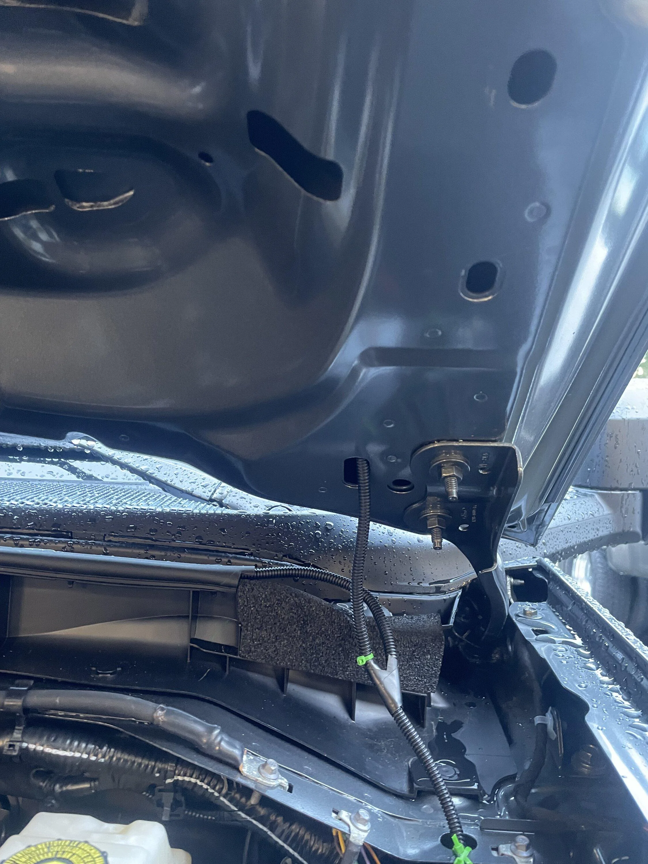 Ford Bronco AVS Aeroskin Lightshield Pro IMG_3322