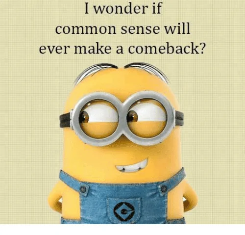 i-wonder-if-common-sense-will-ever-make-a-comeback-6403806.webp