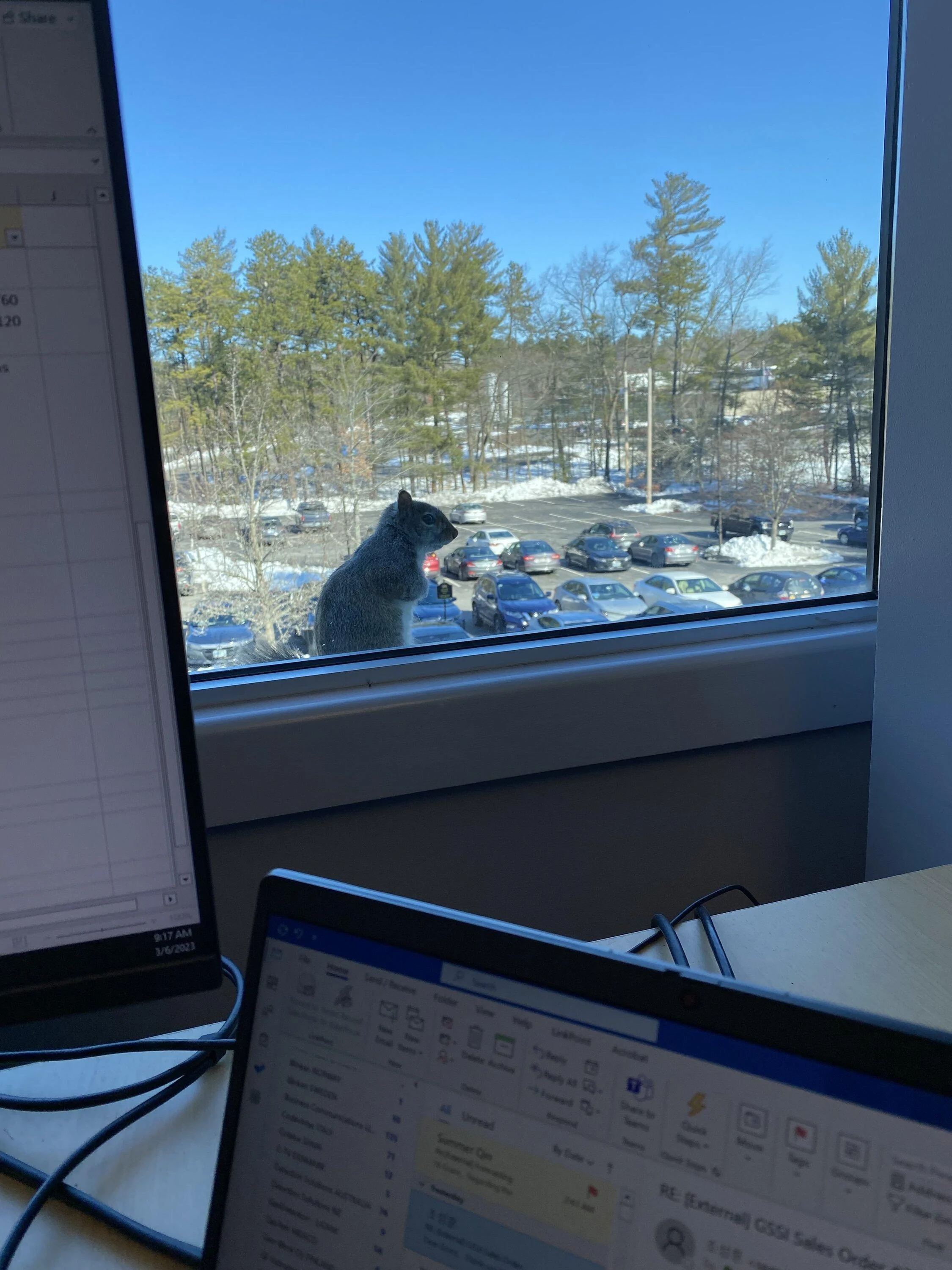 Ford Bronco What do you see from your office window? AD6DB897-6B89-4197-A75C-41EEC9473B87