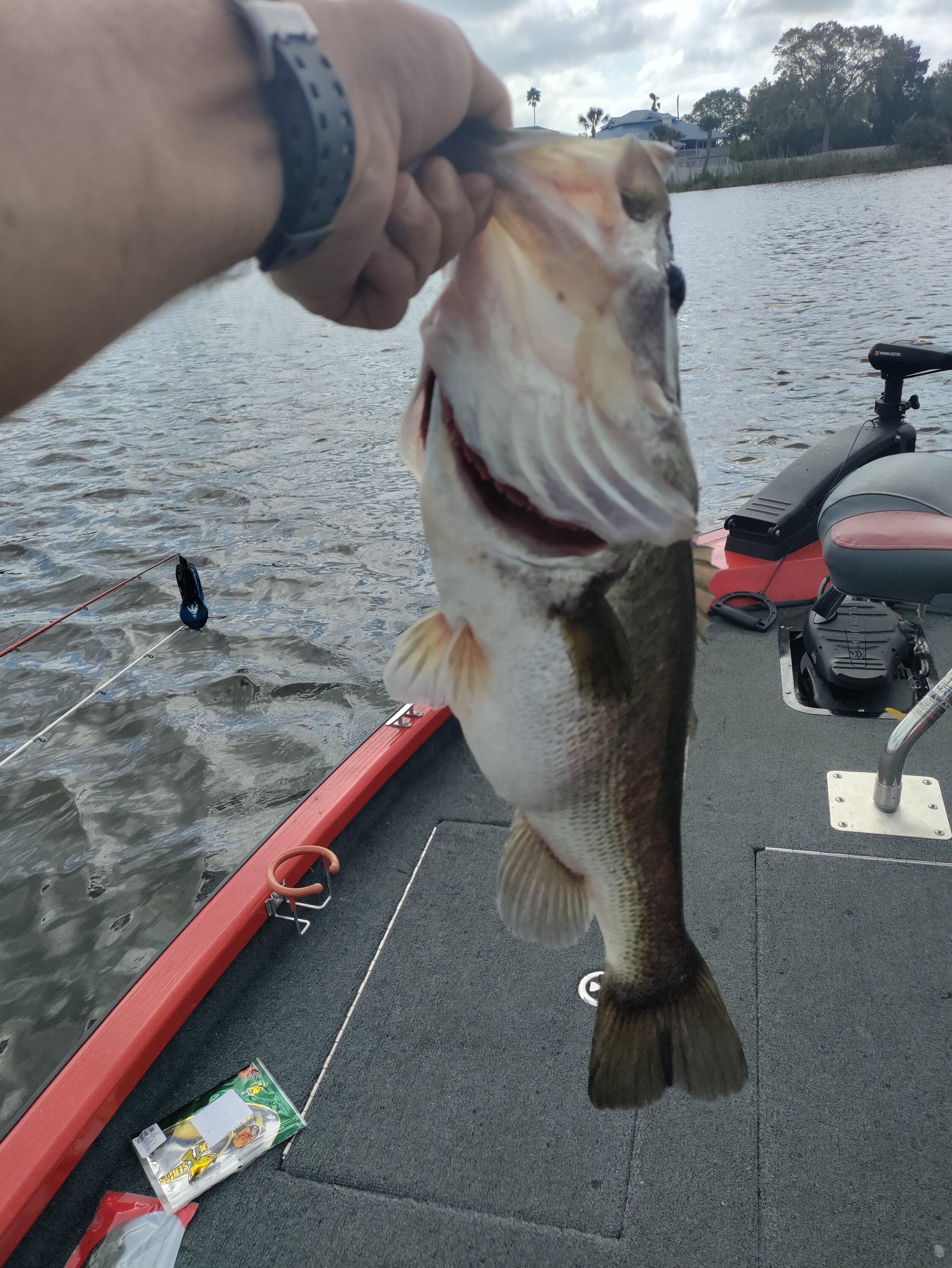 Ford Bronco What do you see from your office window? IMG_20230307_101241