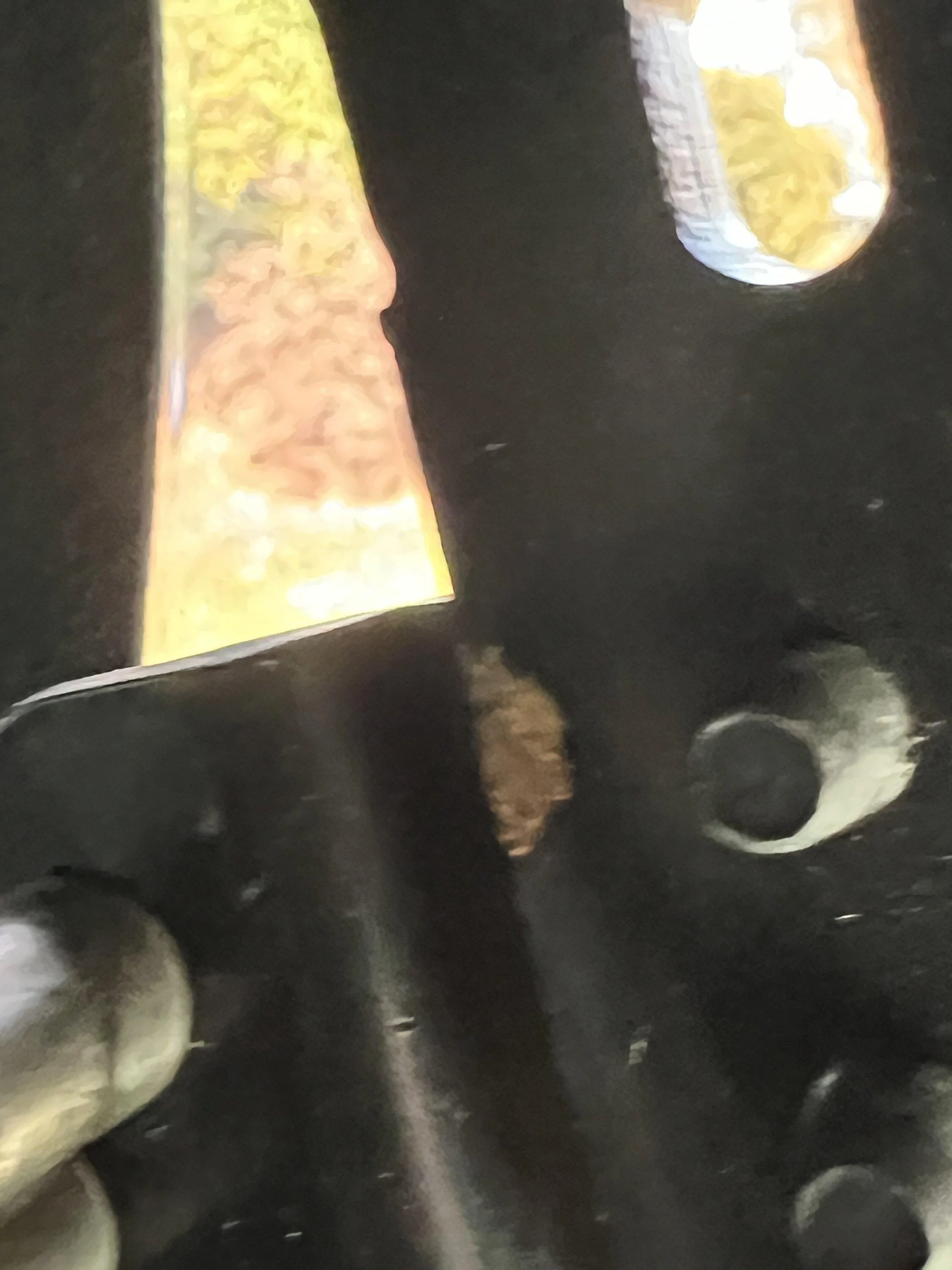 Ford Bronco Terrible Rust Throughout My Bronco Interior - How Did It Happen? IMG_7246