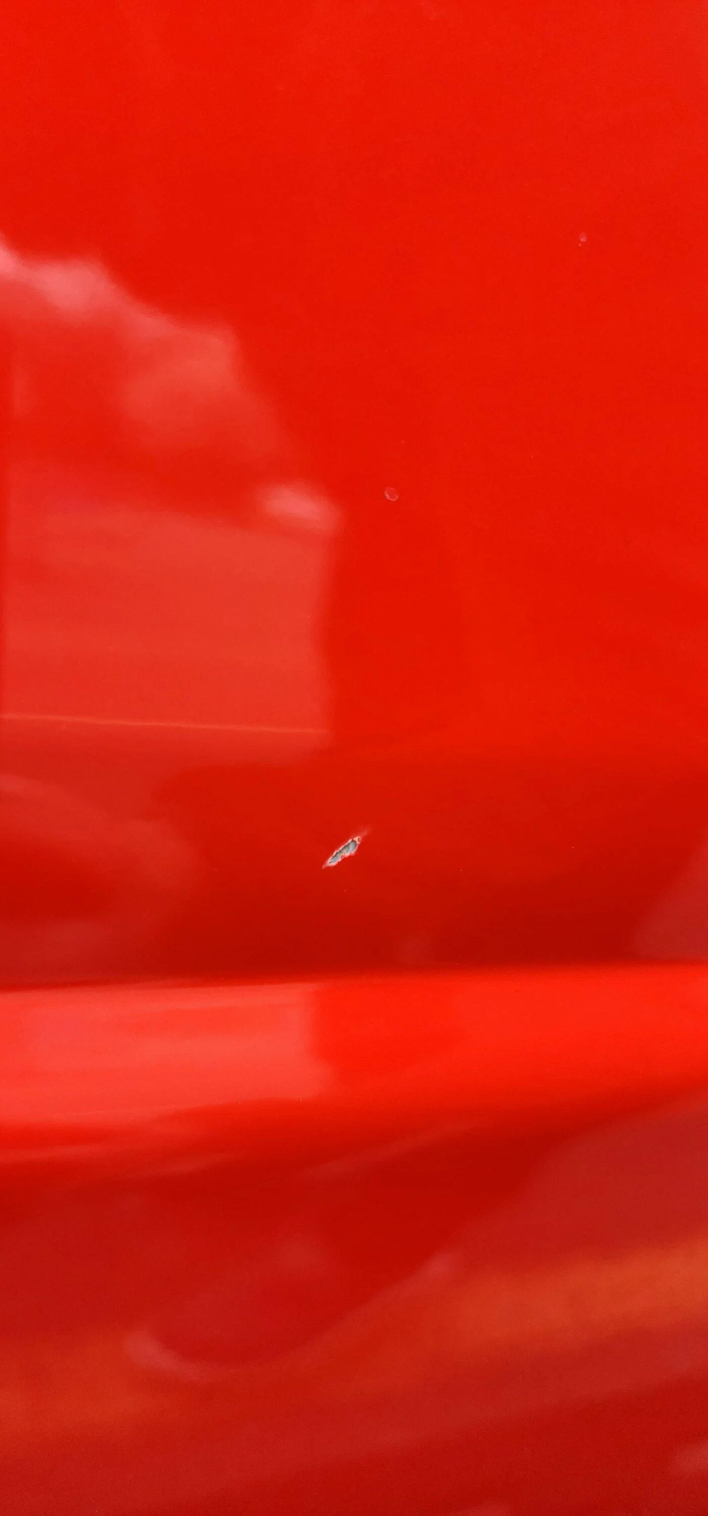 Ford Bronco Mud Flaps for the Raptor? 20230313_160034