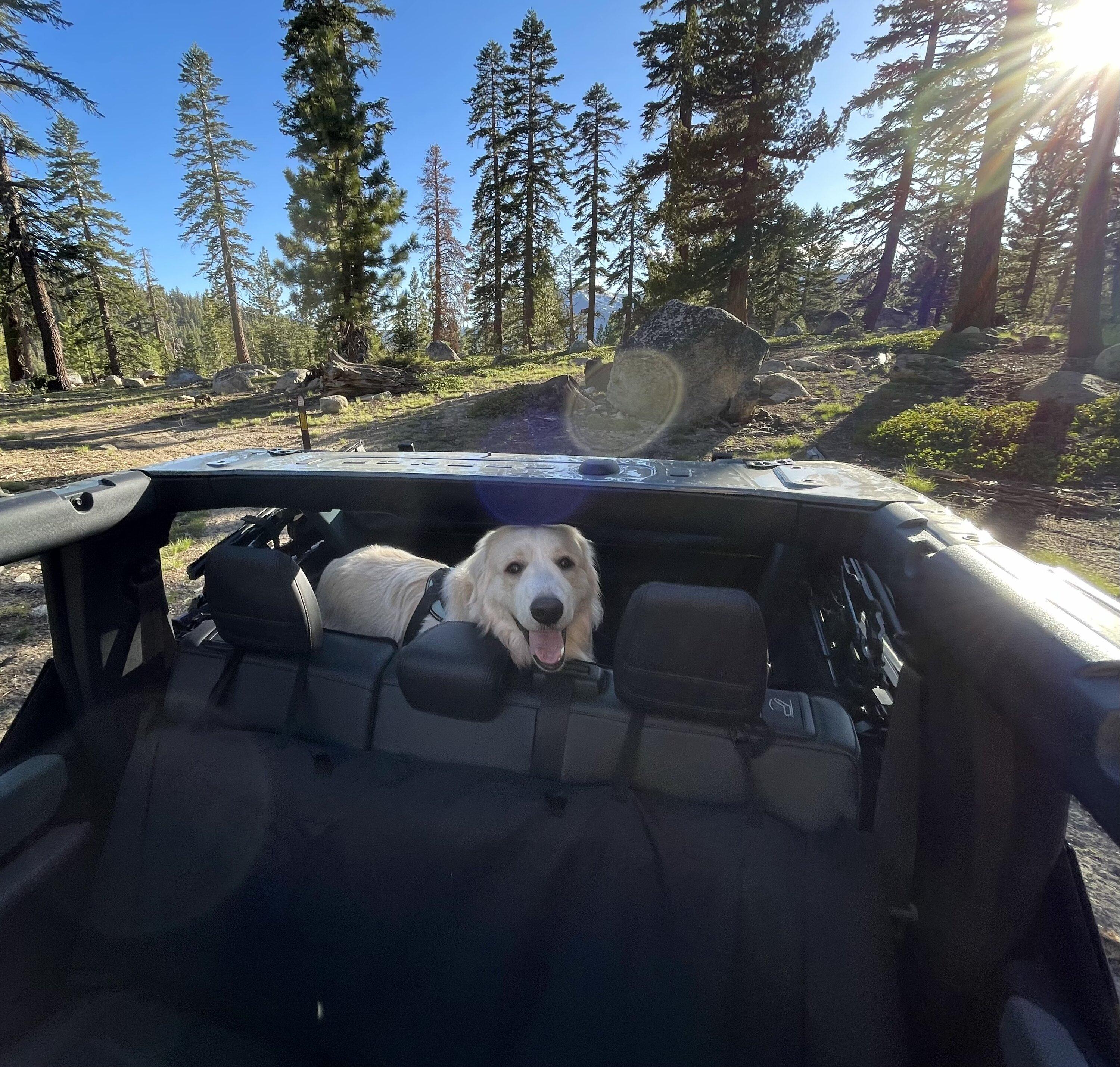 Ford Bronco You can’t beat the SOFT top! D251CF68-4323-46ED-ADCD-EA120F893239