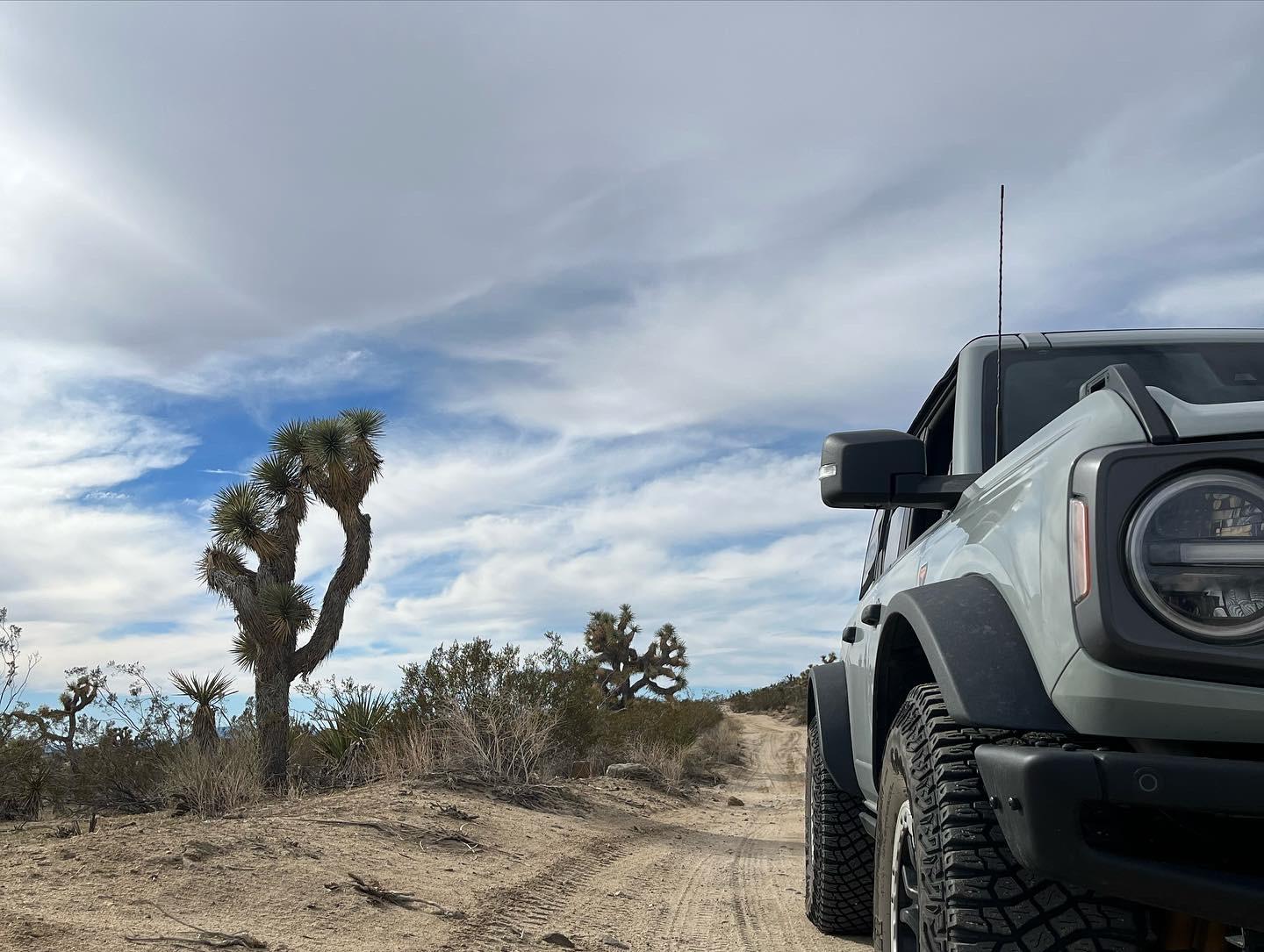 Ford Bronco Cactus Gray Badlands off-roading through Joshua Tree National Park (video) 129147A8-CC2D-4CE0-80CD-15F2B5678ADE