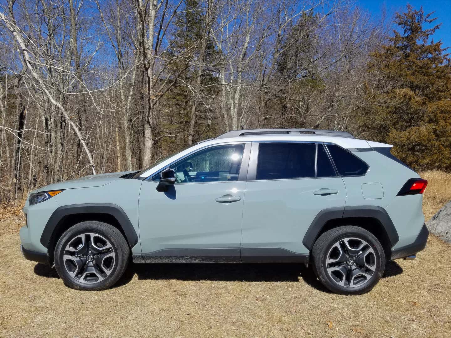 Ford Bronco Cactus Grey vs Lunar Rock rav4