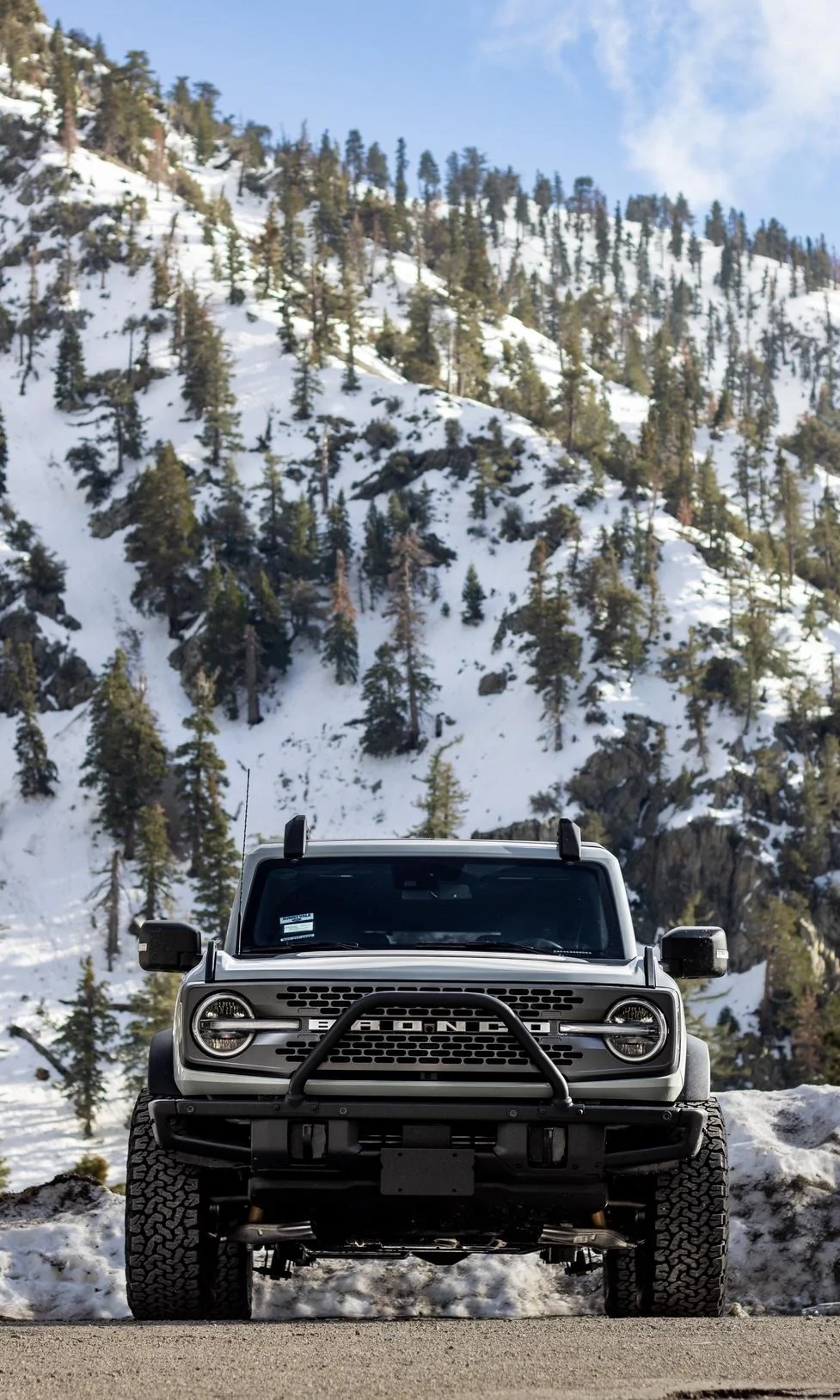 BroncoBaldy1.jpg