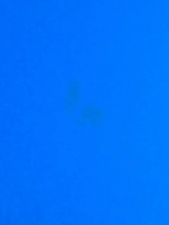 Ford Bronco Found this in paint 20220907_090002