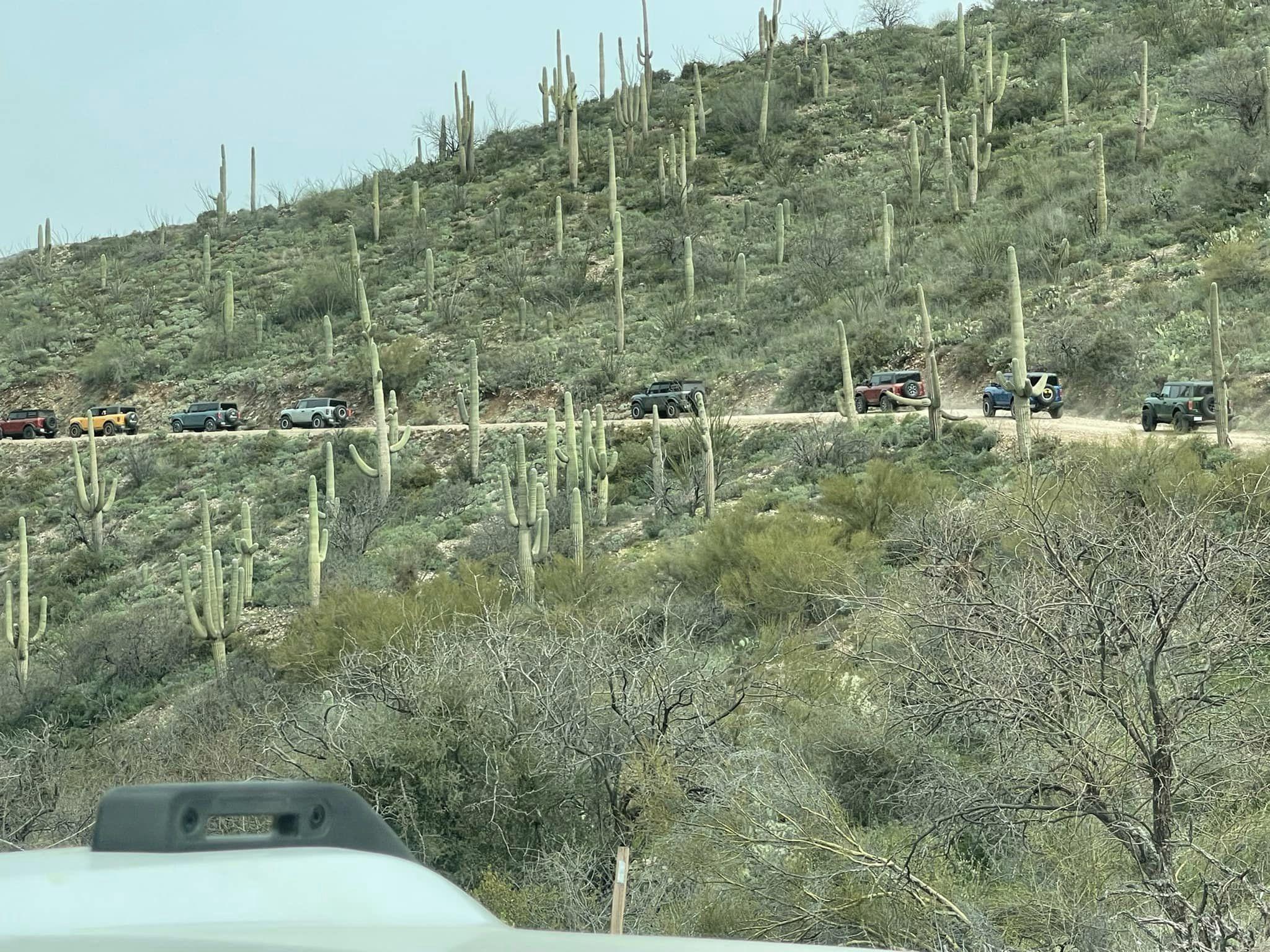 Ford Bronco Big Bronco Group Run = Big Fun! @ Montana Mountain AZ trail2