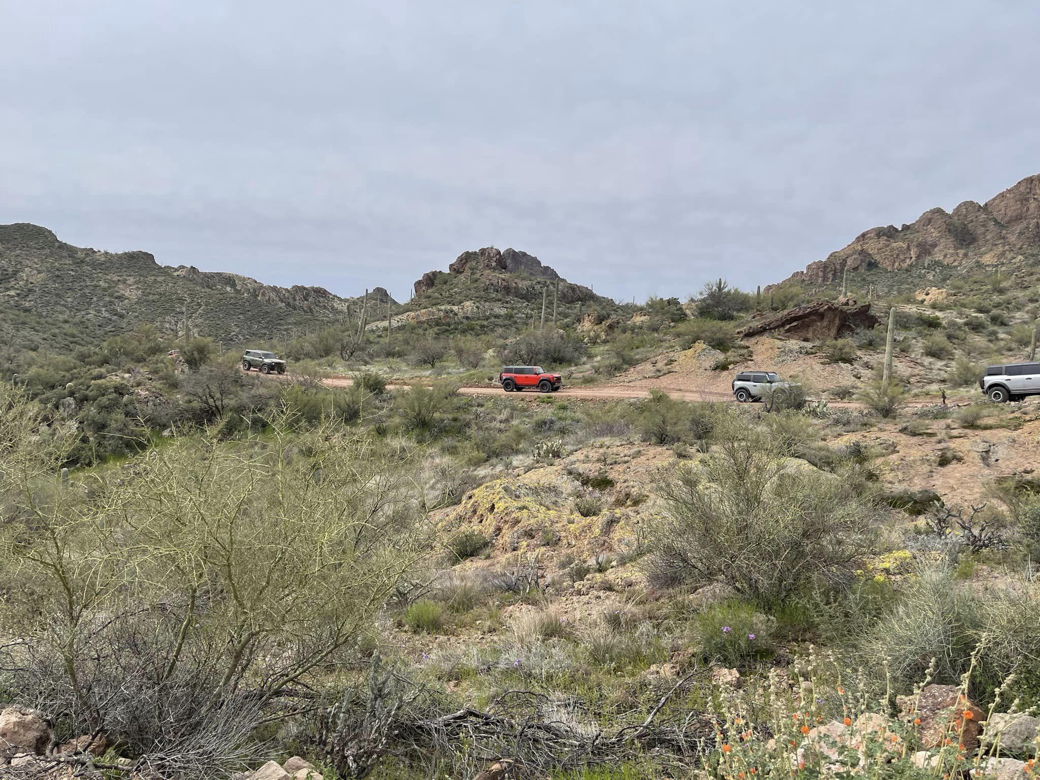 Ford Bronco Big Bronco Group Run = Big Fun! @ Montana Mountain AZ trail3