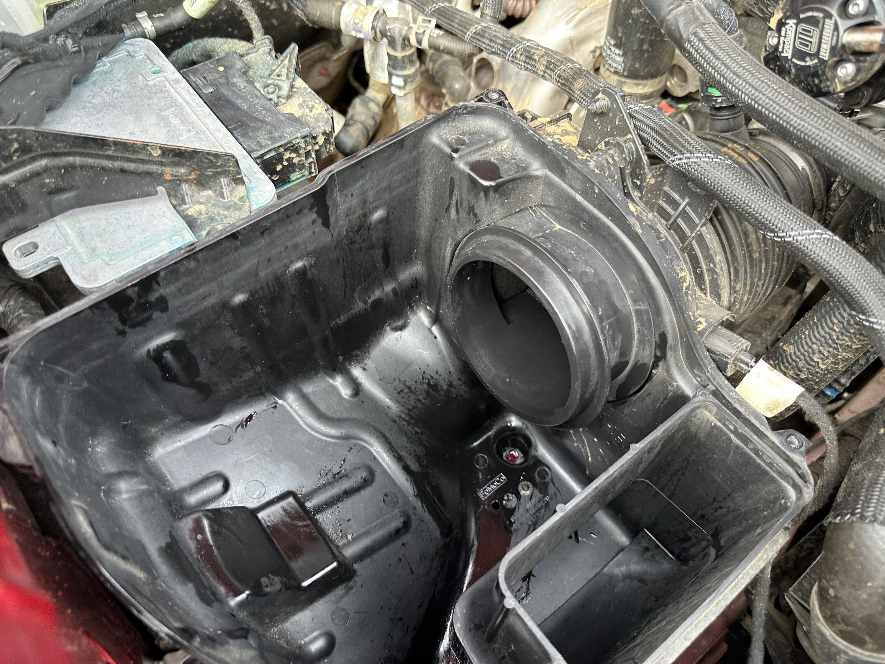 Ford Bronco Over-oiled the filter? How to fix 3D443180-EDA5-4FD0-A7F9-35886D6F6869