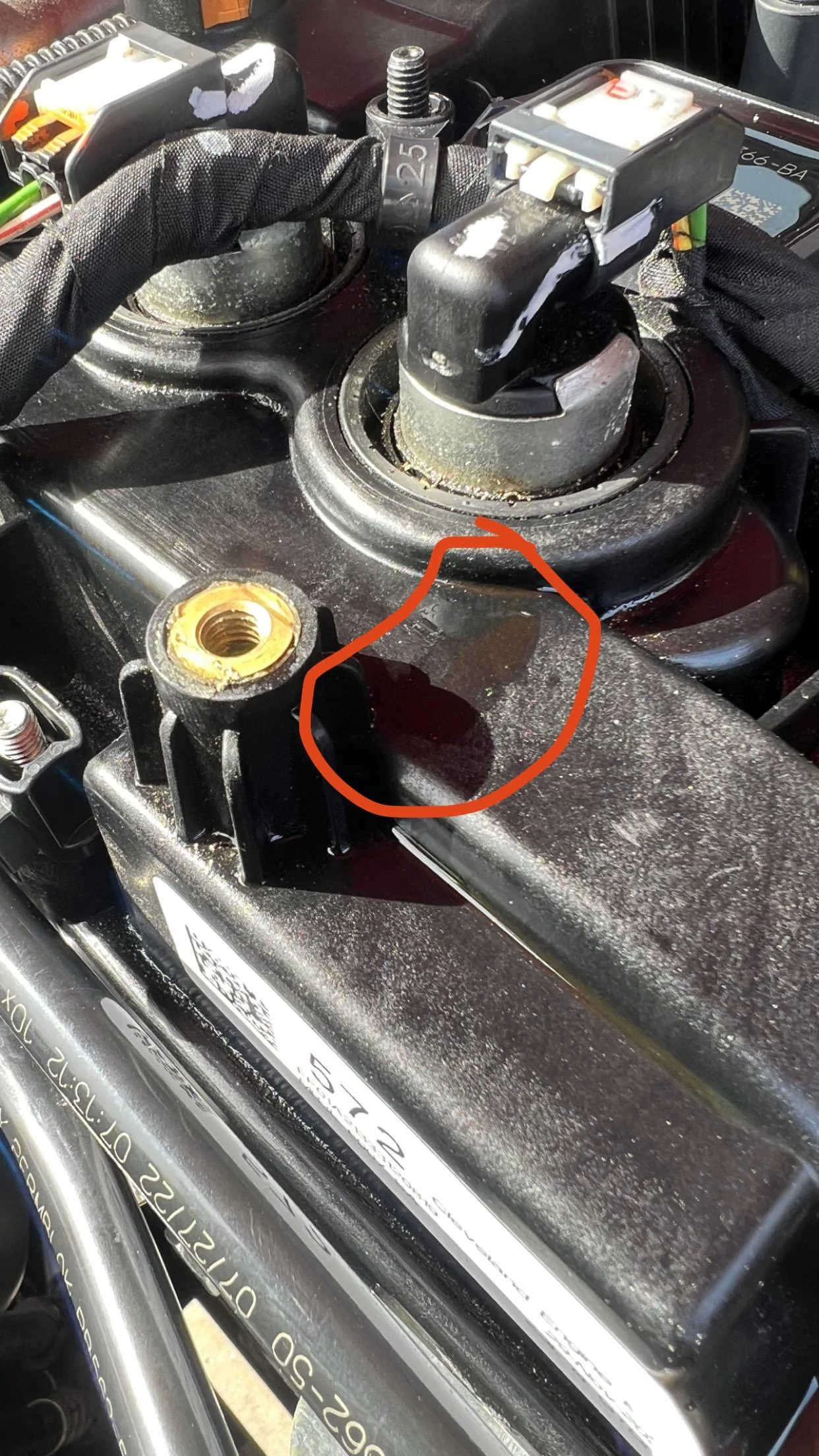 Ford Bronco 2.3L Oil Leak 2D0C7B2D-F736-4F33-BC45-E4D17D7C34C3
