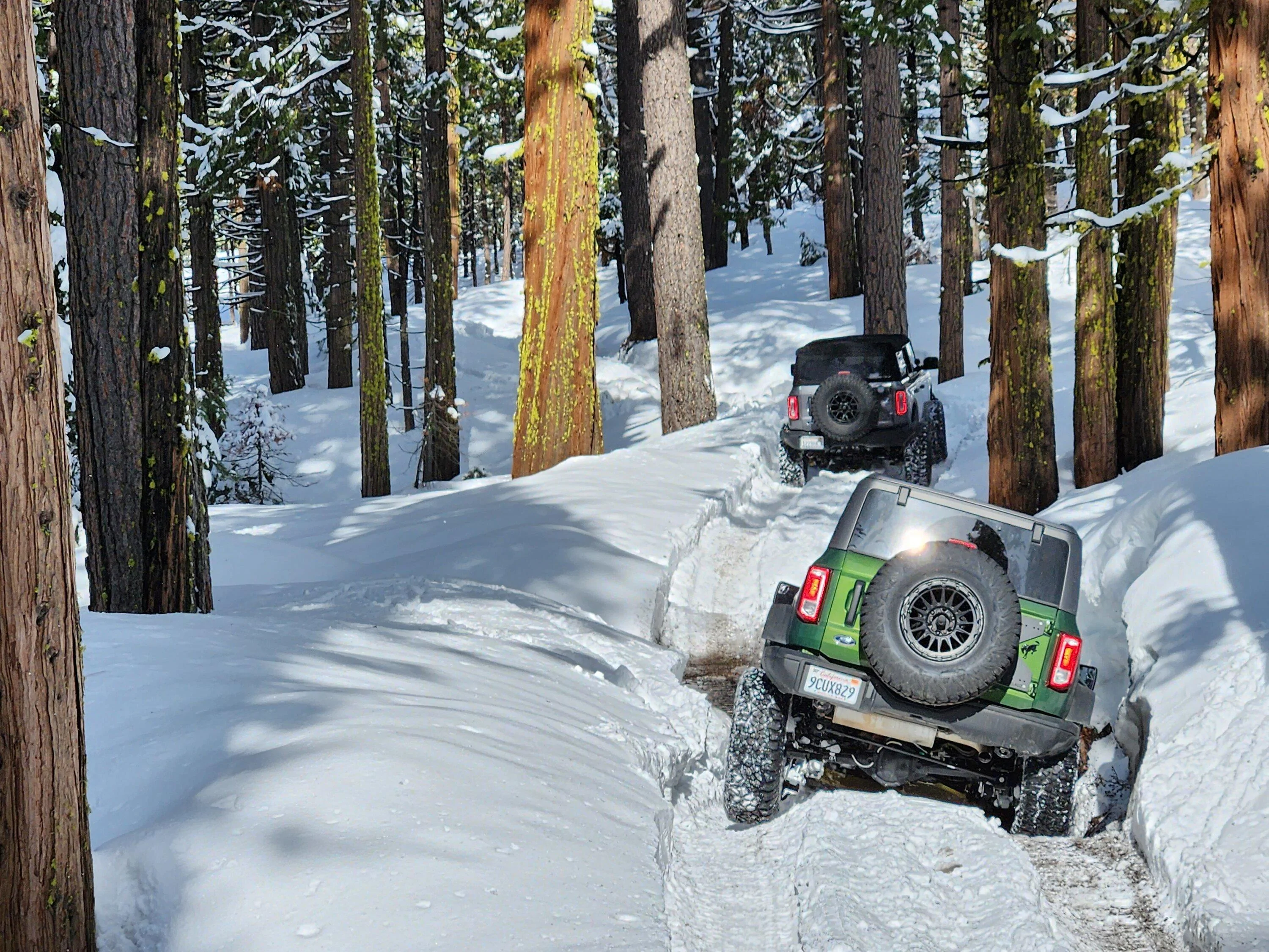 Ford Bronco Bucking Broncos Bust'in Loose in Snow Eagle Lake, Fordyce Trails 20230325_102637