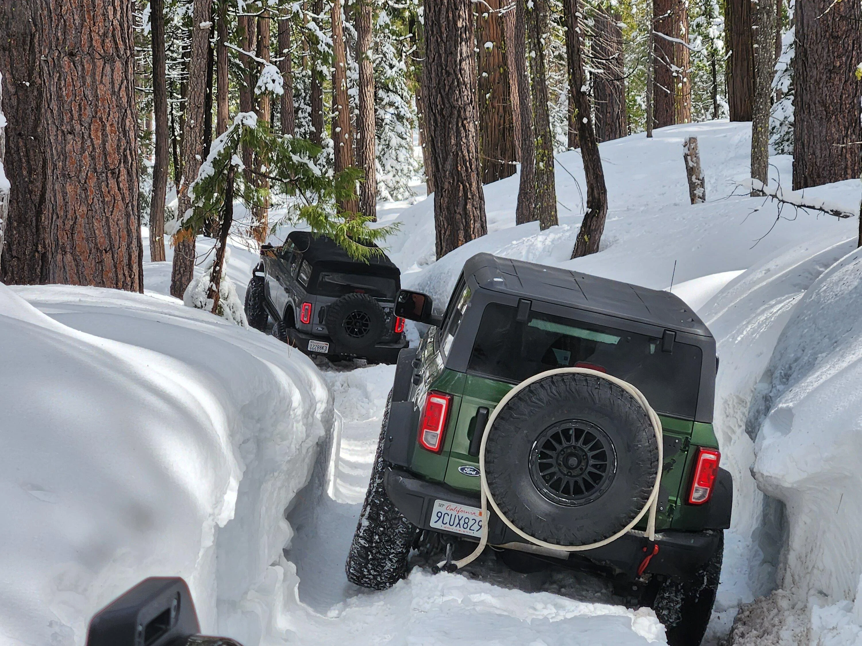 Ford Bronco Bucking Broncos Bust'in Loose in Snow Eagle Lake, Fordyce Trails 20230325_112220