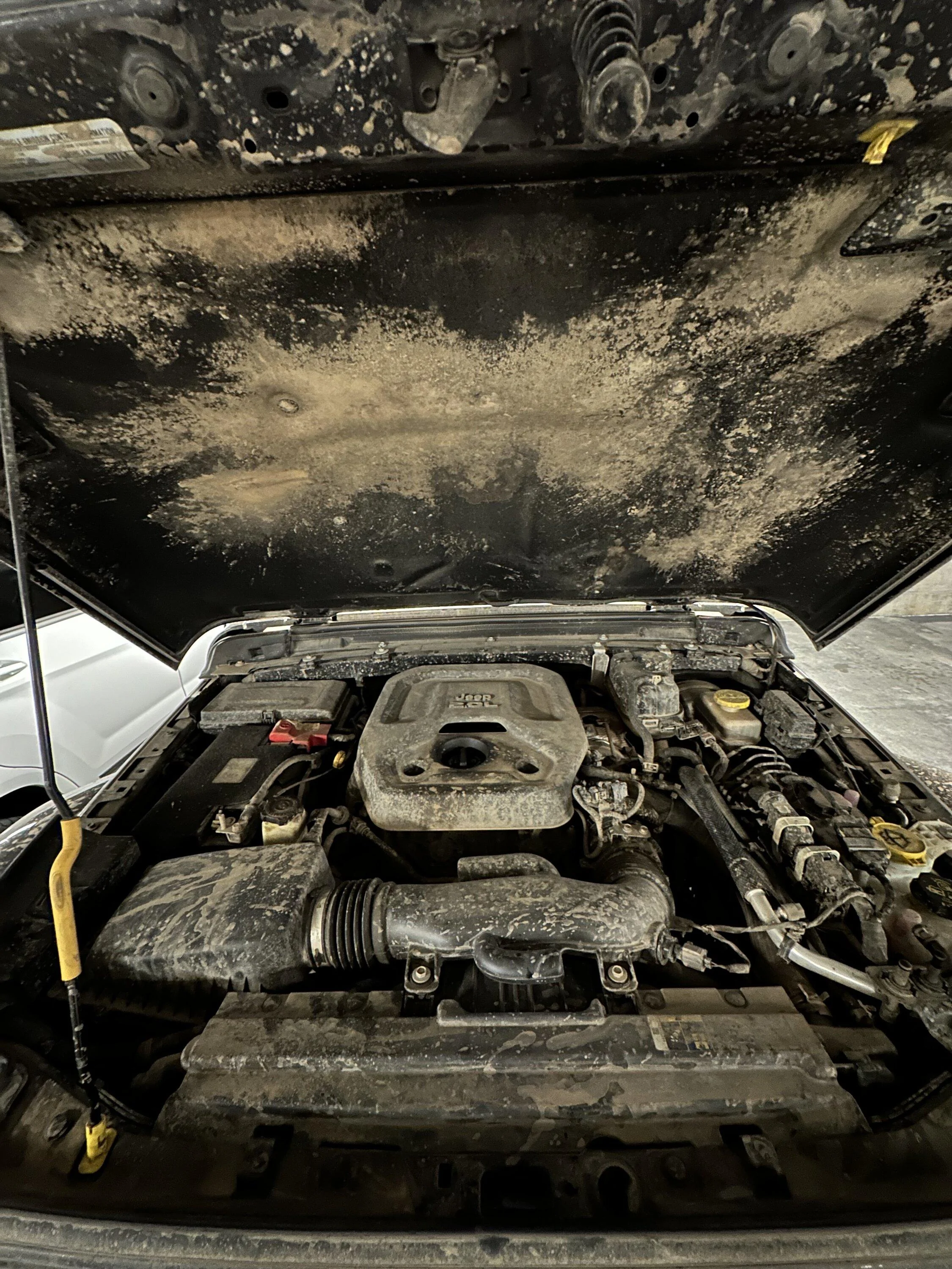 Ford Bronco Braptor Ordered, I hope… A27E1D52-11D1-4FFF-9CA2-A159BFEAE30E
