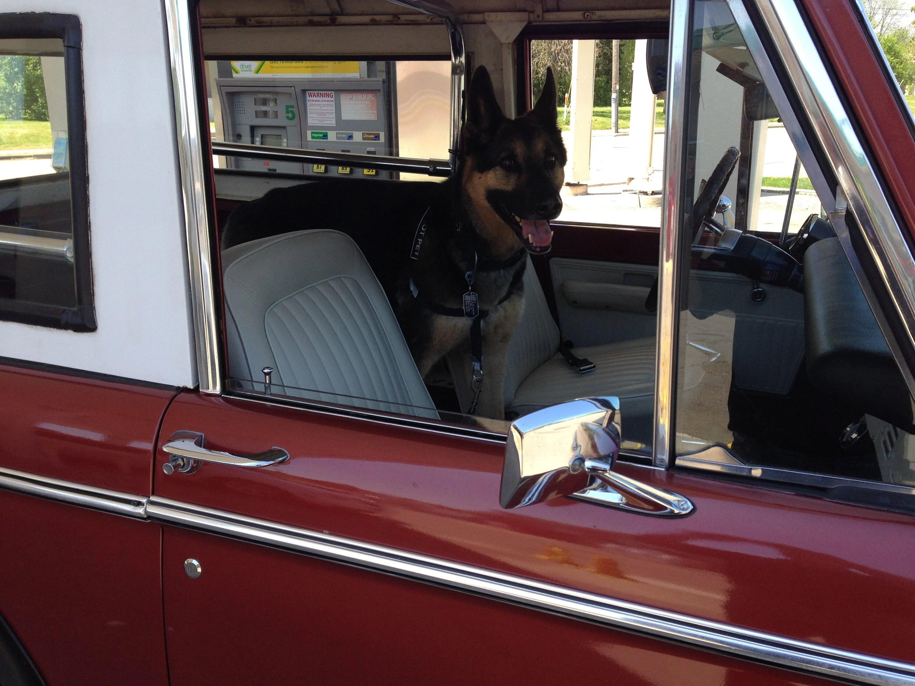 Ford Bronco First Time Post From N.E. Wisconsin FCE3FC7B-B0B3-493A-8598-A2515B52E49F