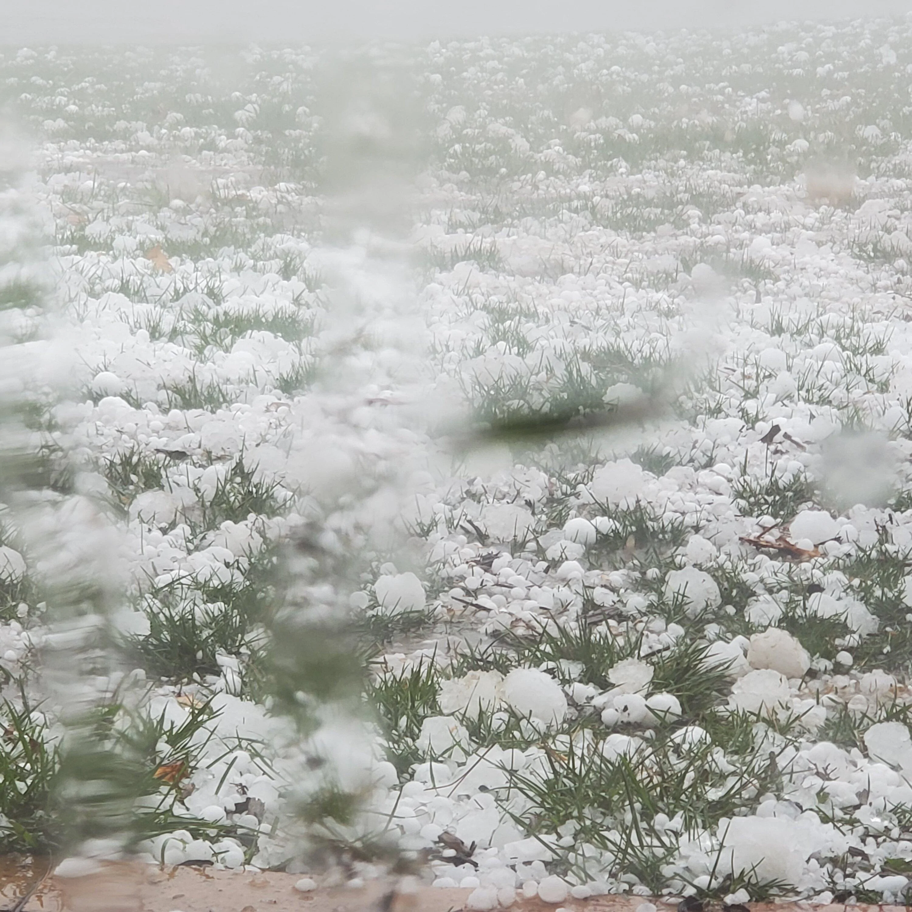 Ford Bronco ***Update 4/19 Hail no... damage to MIC 2.0 hard top in large hail storm 20230331_152819