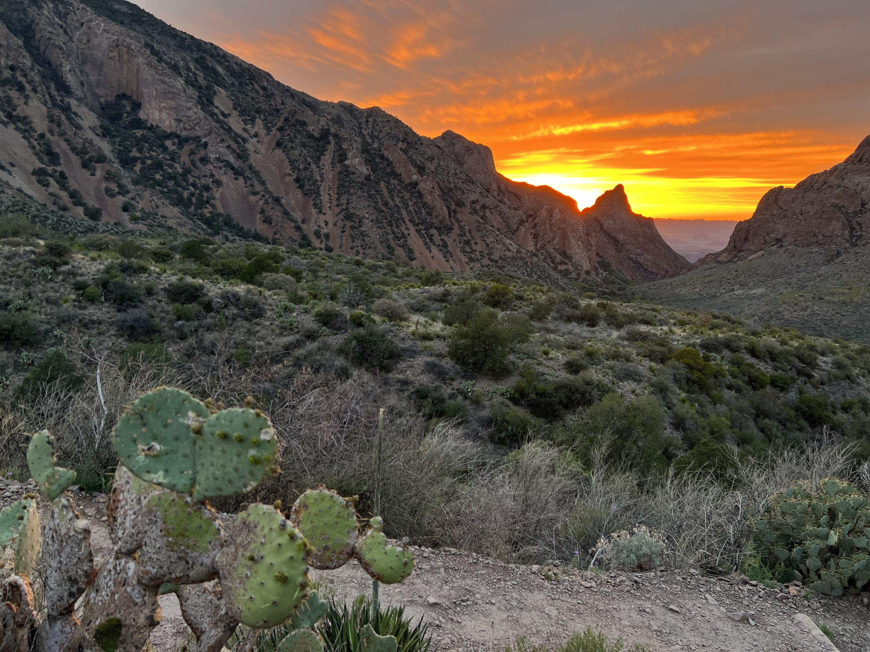 Ford Bronco Big Bend National Park camping pics and Black Gap Road video IMG_1713.JPG
