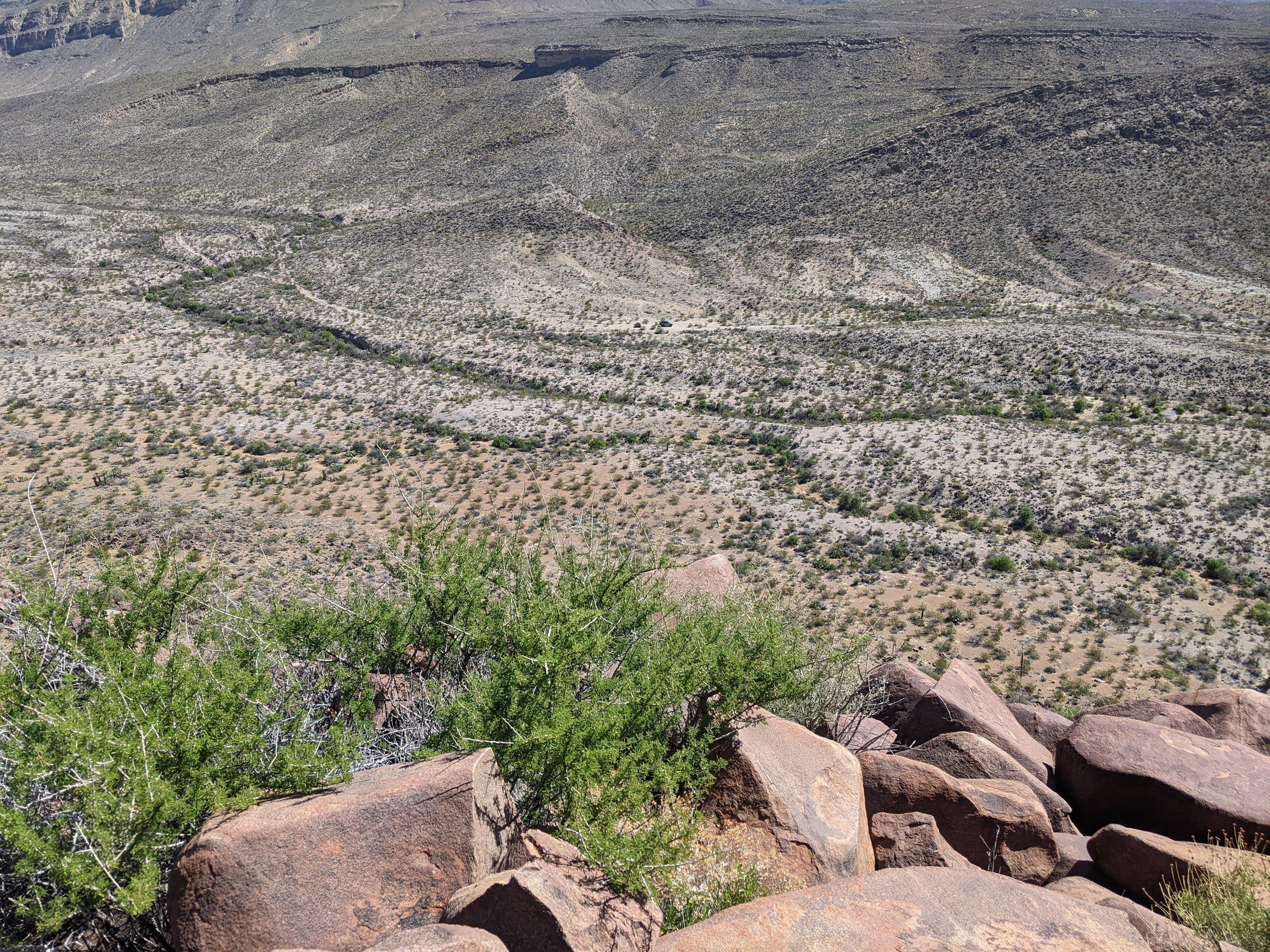 Ford Bronco Big Bend National Park camping pics and Black Gap Road video PXL_20230326_164135752