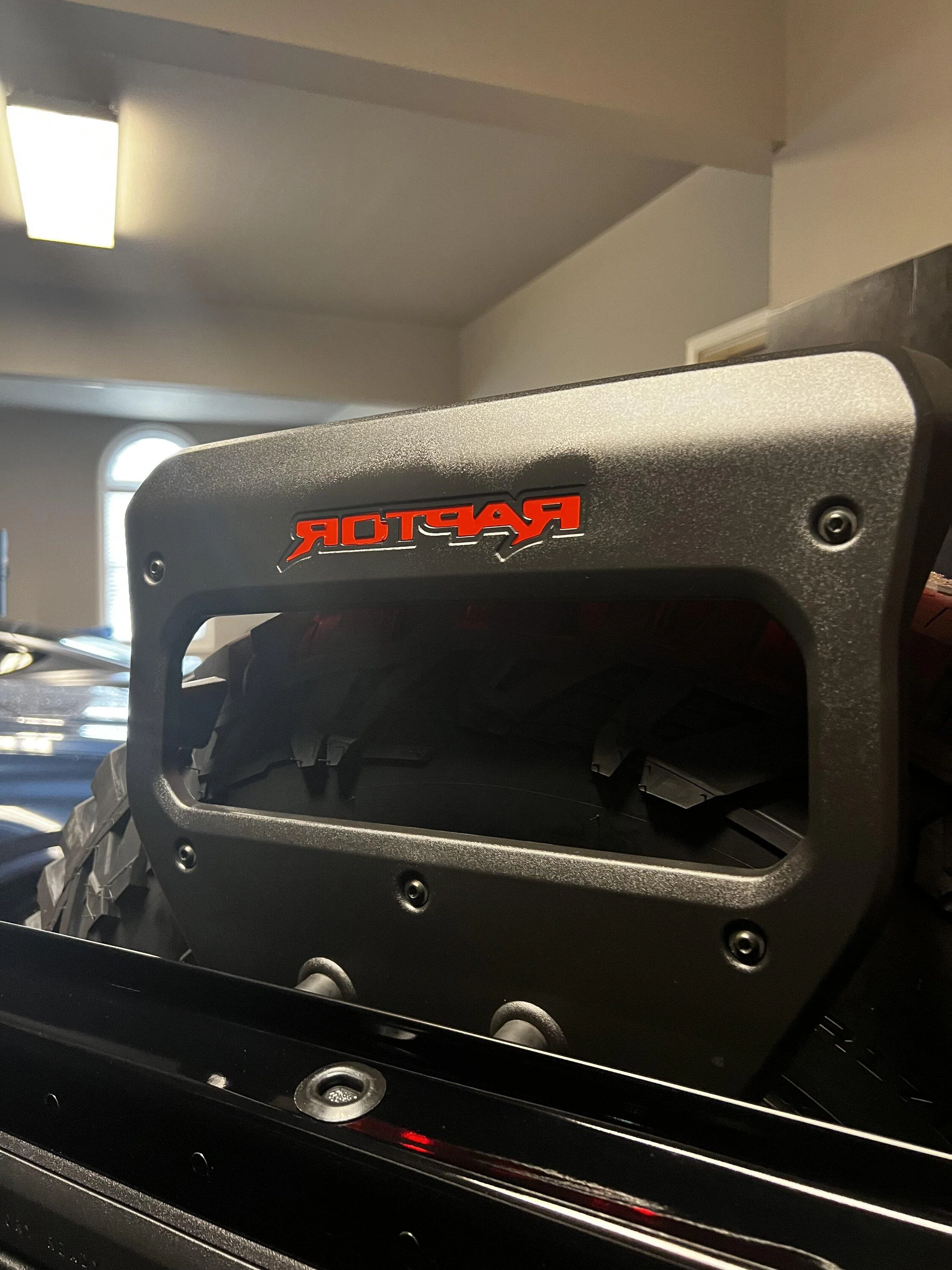 Aesthetics question - Color for exterior Raptor badging decals ...