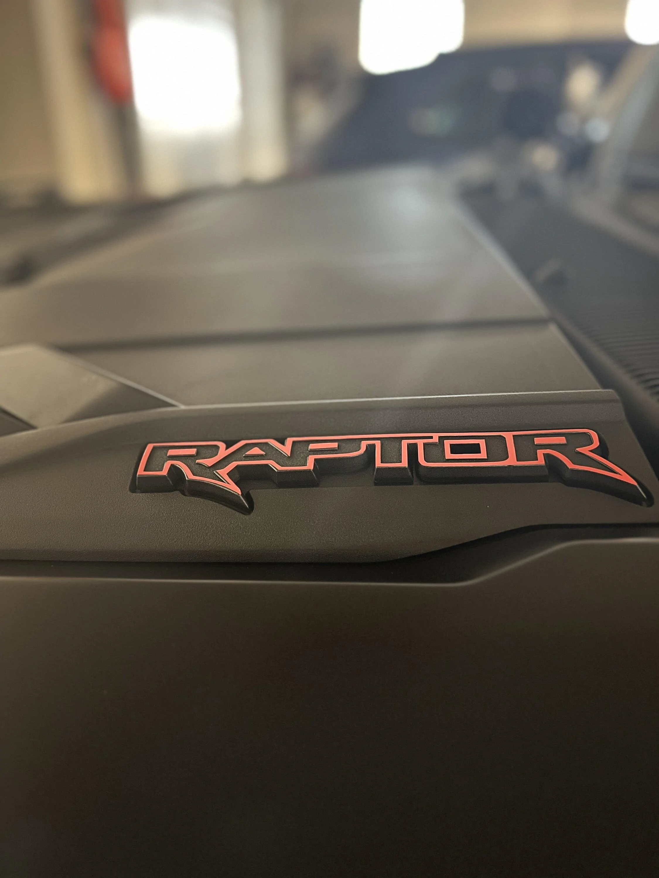 Aesthetics question - Color for exterior Raptor badging decals ...