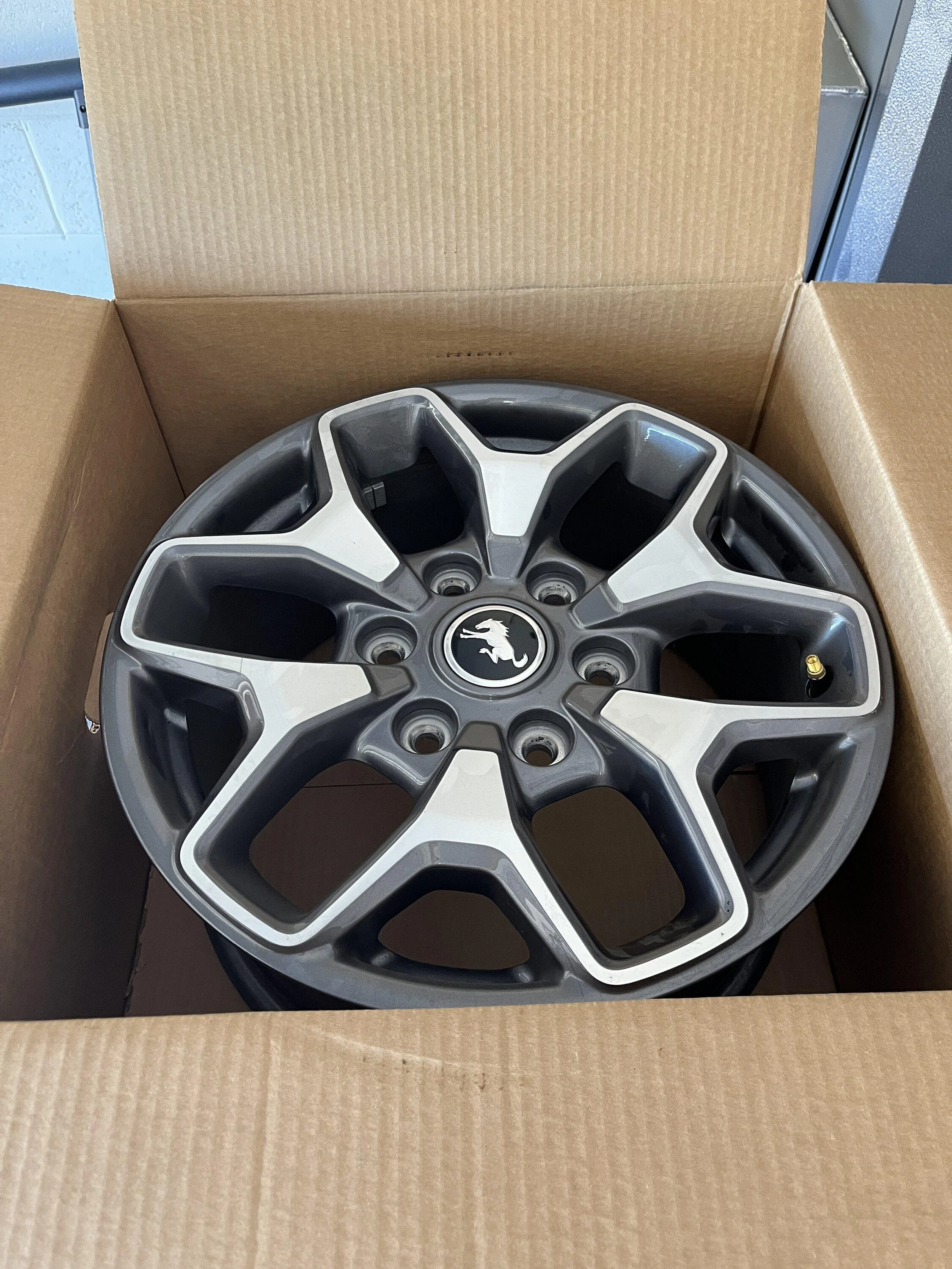 Ford Bronco Badlands Wheels IMG_4852