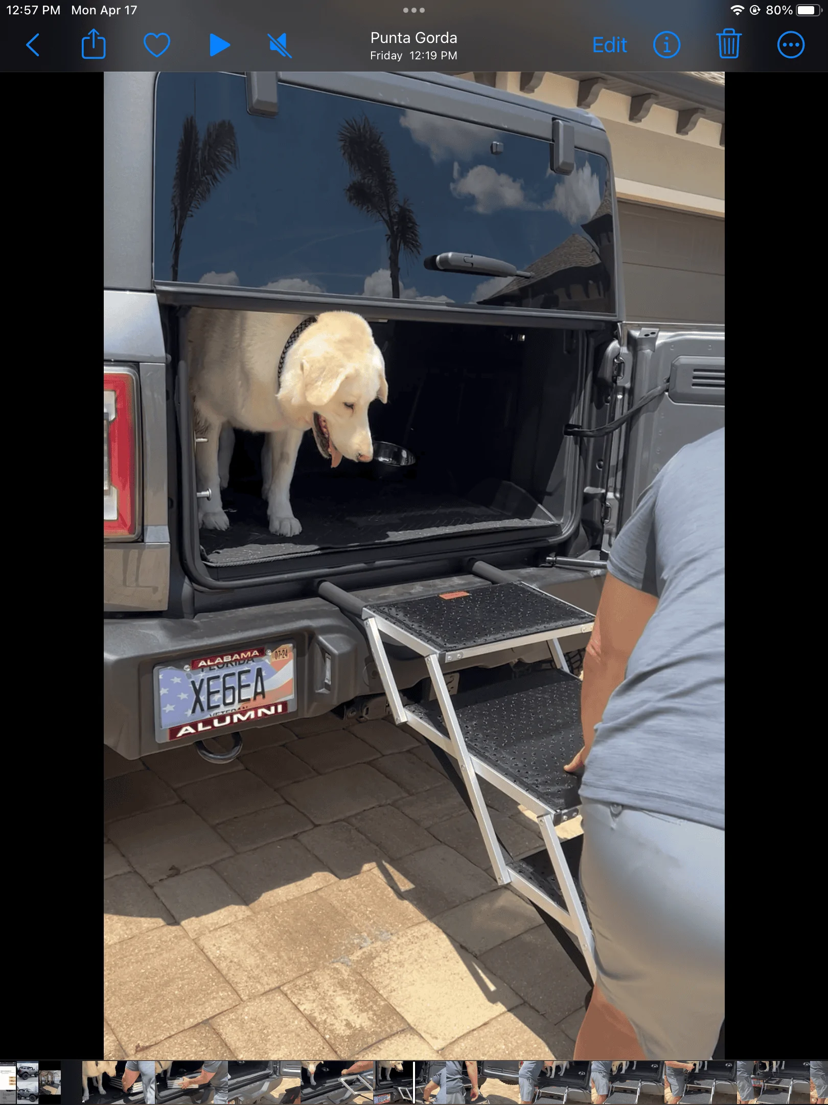 Ford Bronco Getting dog into Sas. 02EDD8C1-1905-4EC6-97FB-F88716CCADA1