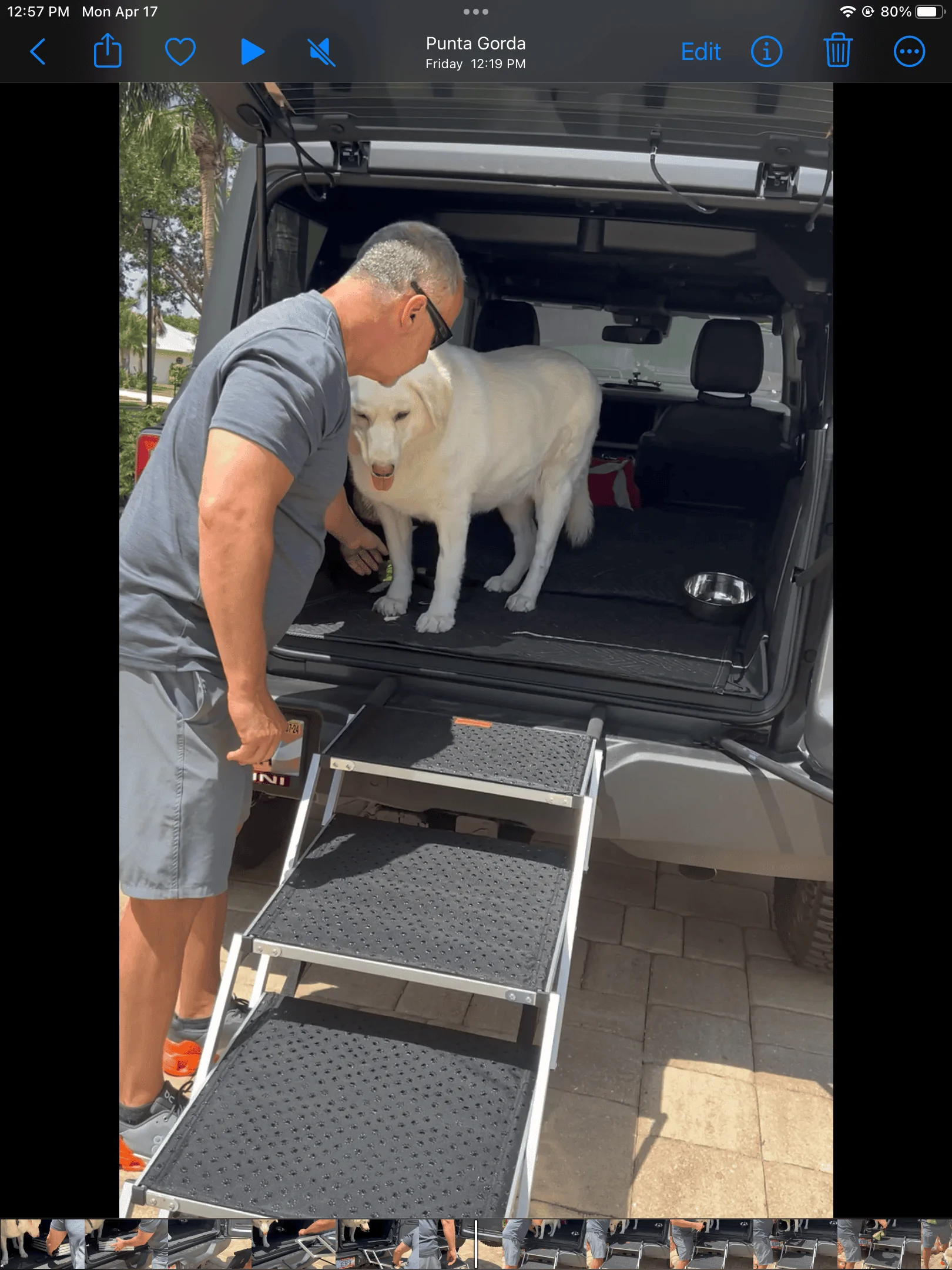 Ford Bronco Getting dog into Sas. 49057D87-EF54-4DC6-A37C-CBC1B6E0ADF5
