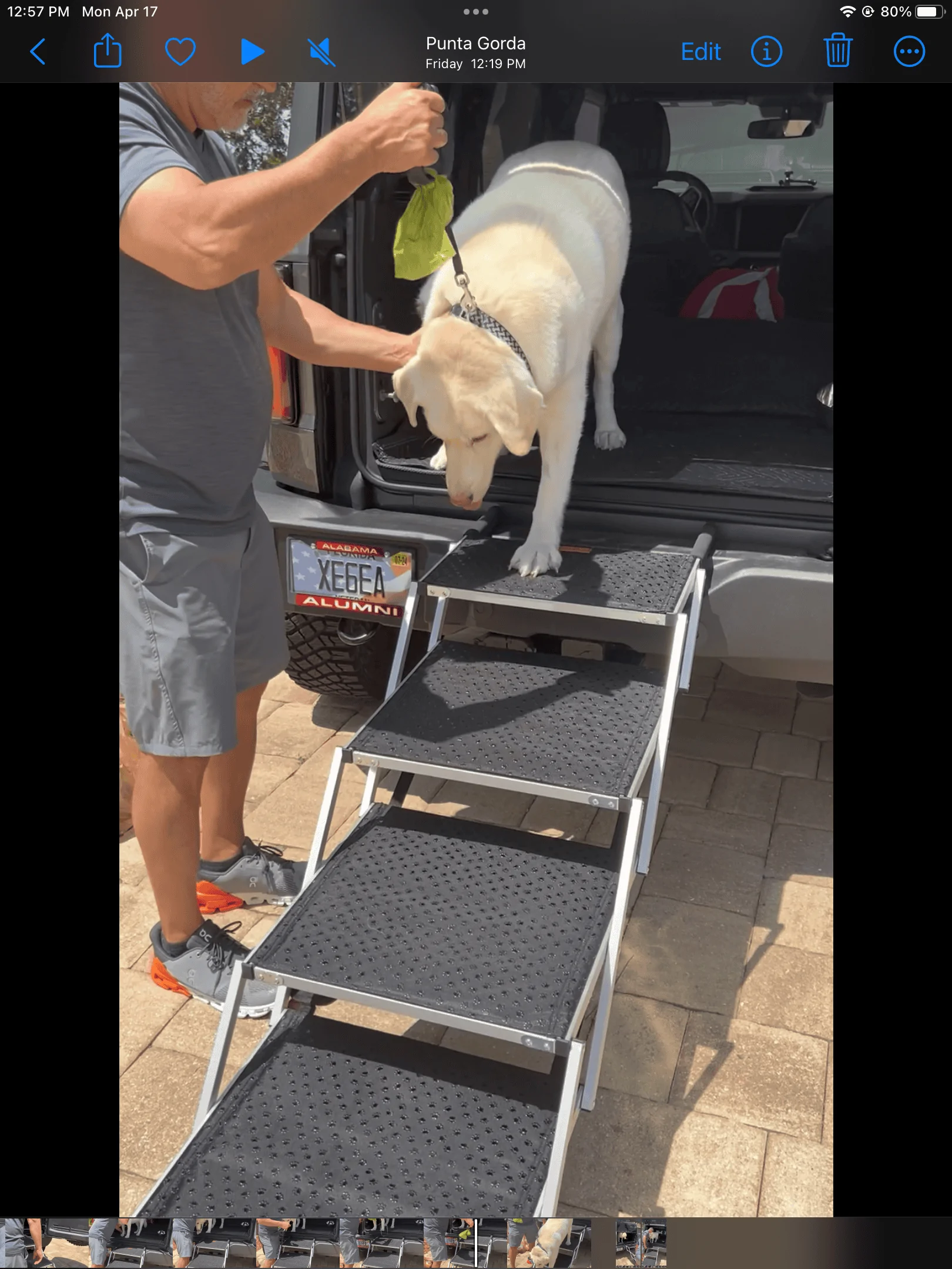 Ford Bronco Getting dog into Sas. CE7D756E-B206-4837-B336-032B98F652A9