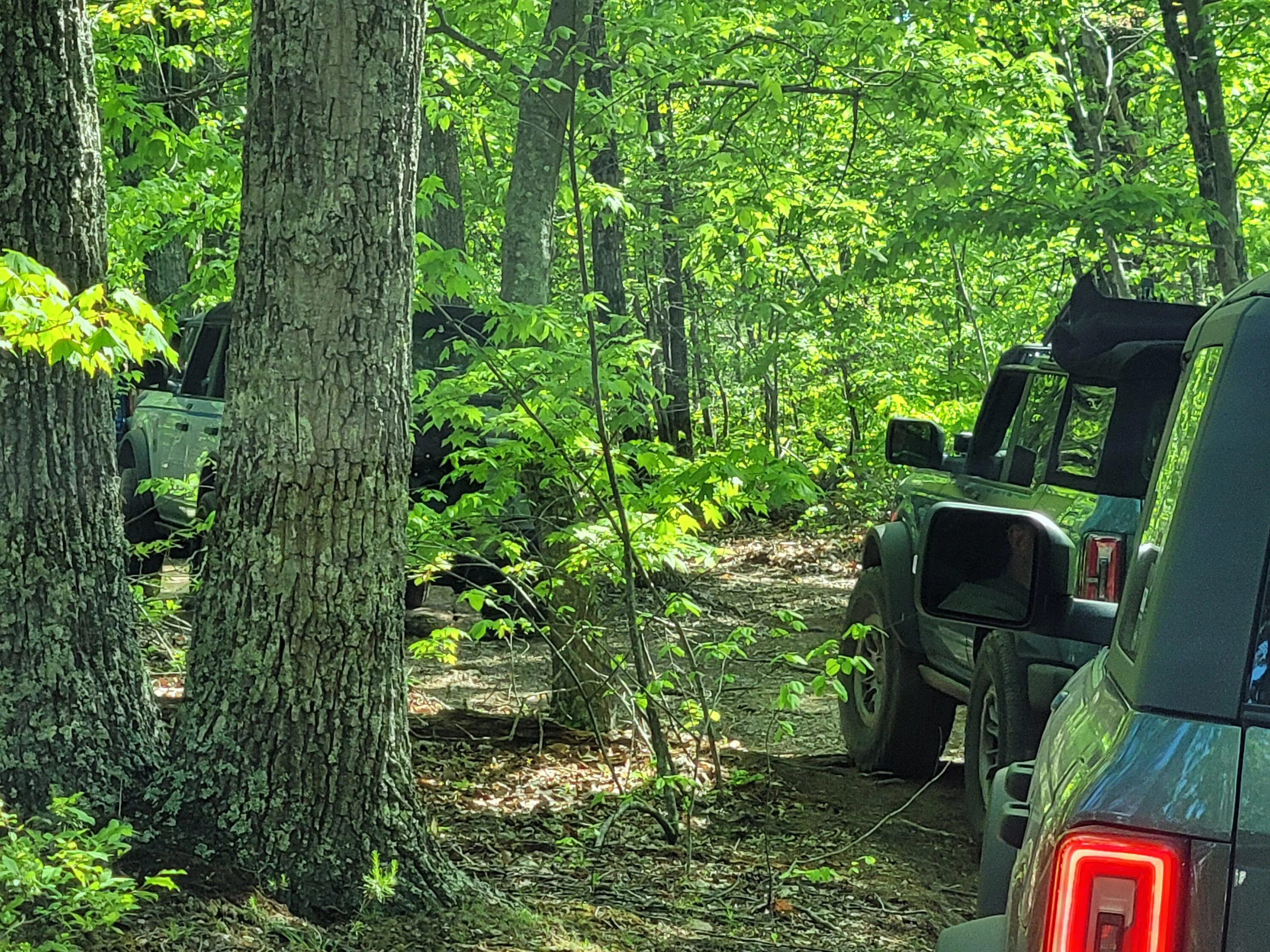 Ford Bronco Super Celebration East 2023 Photos – Post Yours! 20230420_101827
