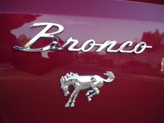 Ford Bronco Bronco Fender Badging ecfee5d83e6d06fadd784aeab6c532a0