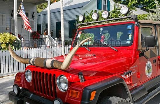 Ford Bronco Reality Check.... Mate bull-horn-