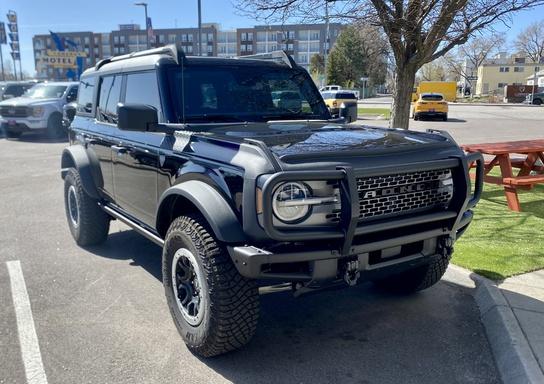 Ford Bronco Looking For a Real Brush Guard 48988