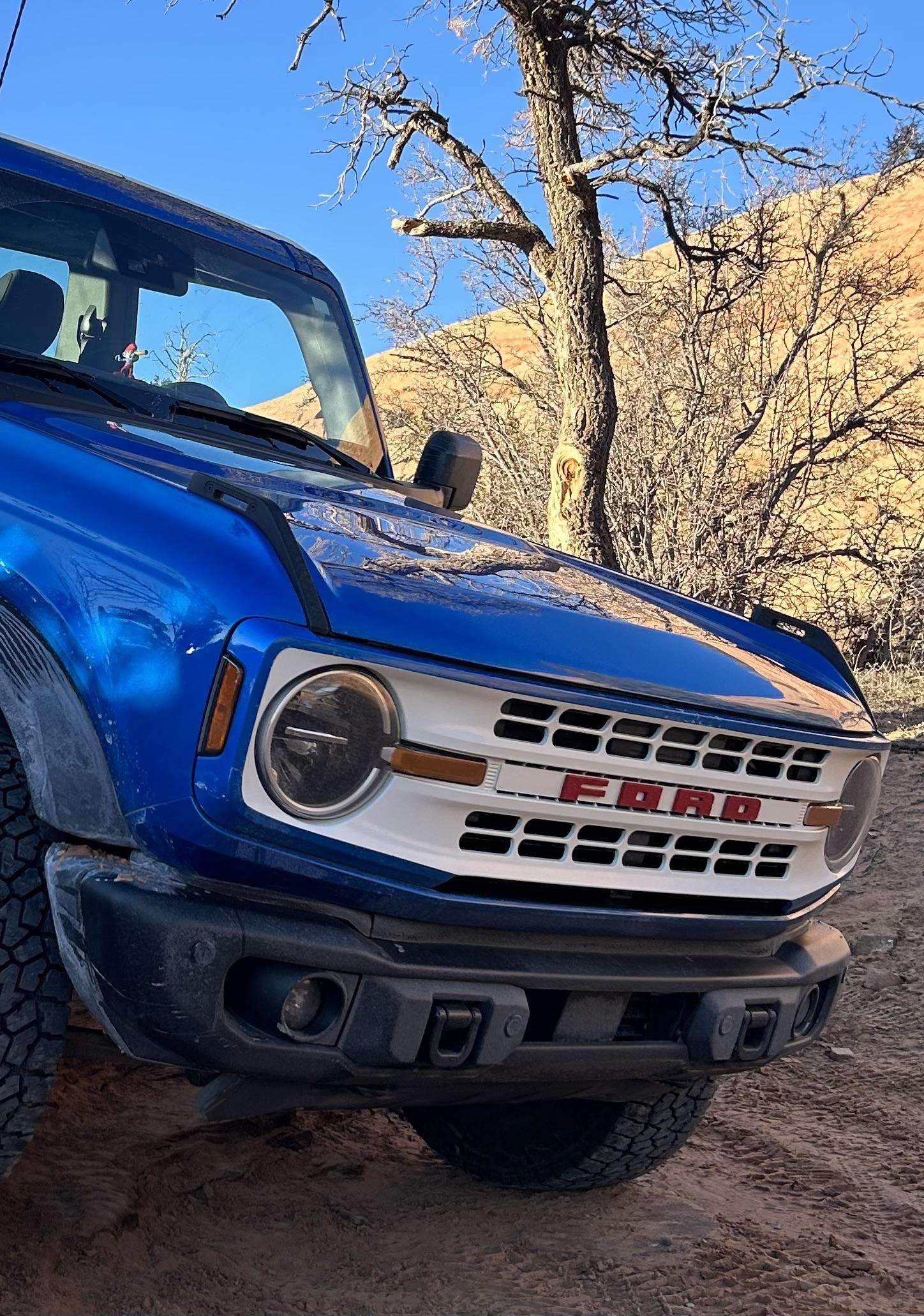 Ford Bronco Post Your Custom Bronco Grille! IMG_3757