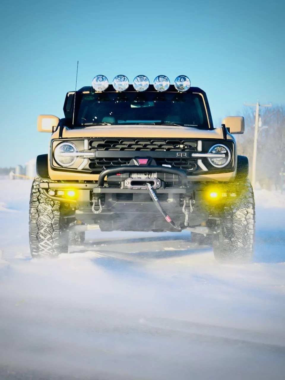 Ford Bronco Post Your Custom Bronco Grille! DSC_5055