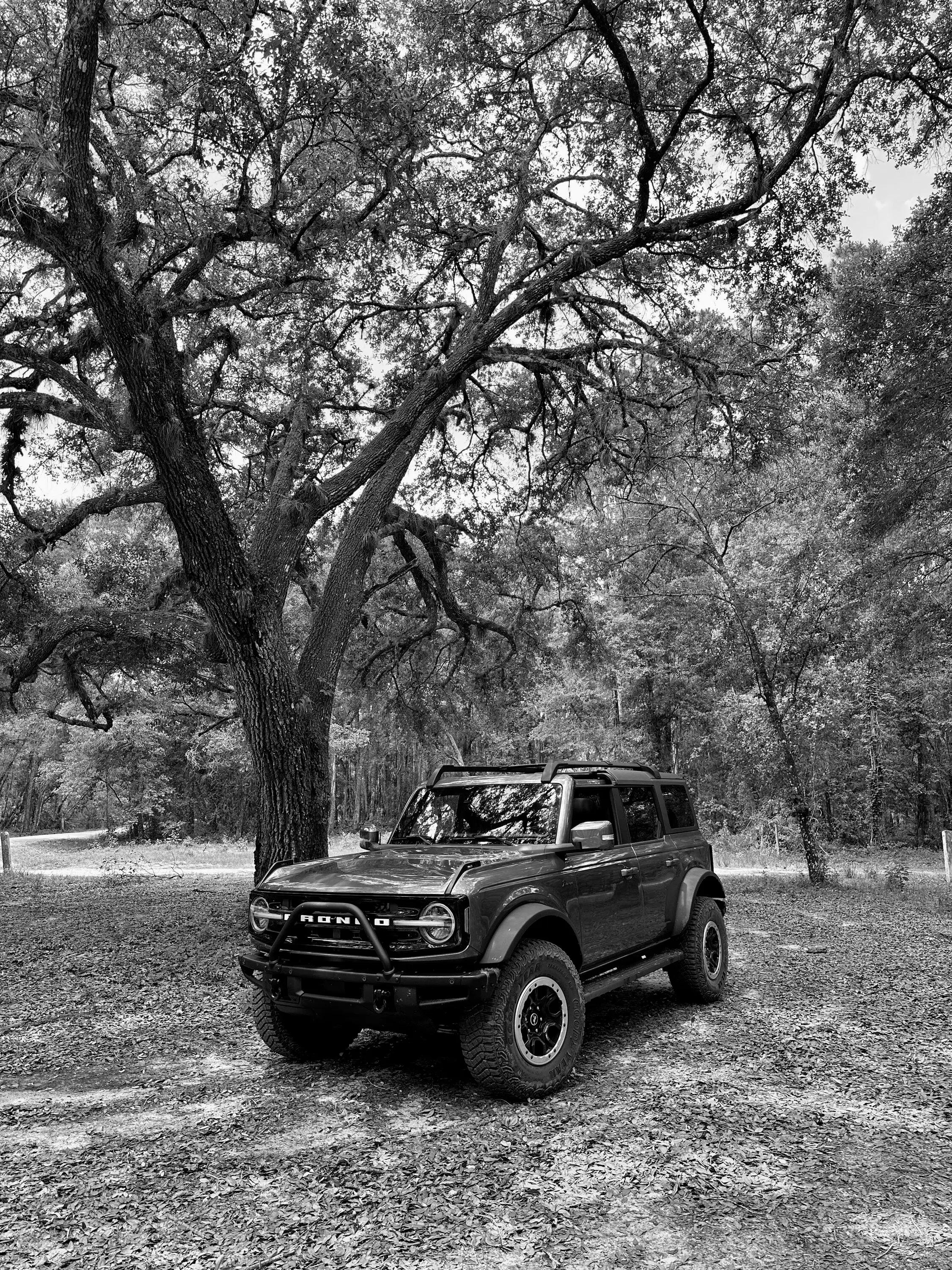 Ford Bronco For The Record - OBX Journal IMG_7087