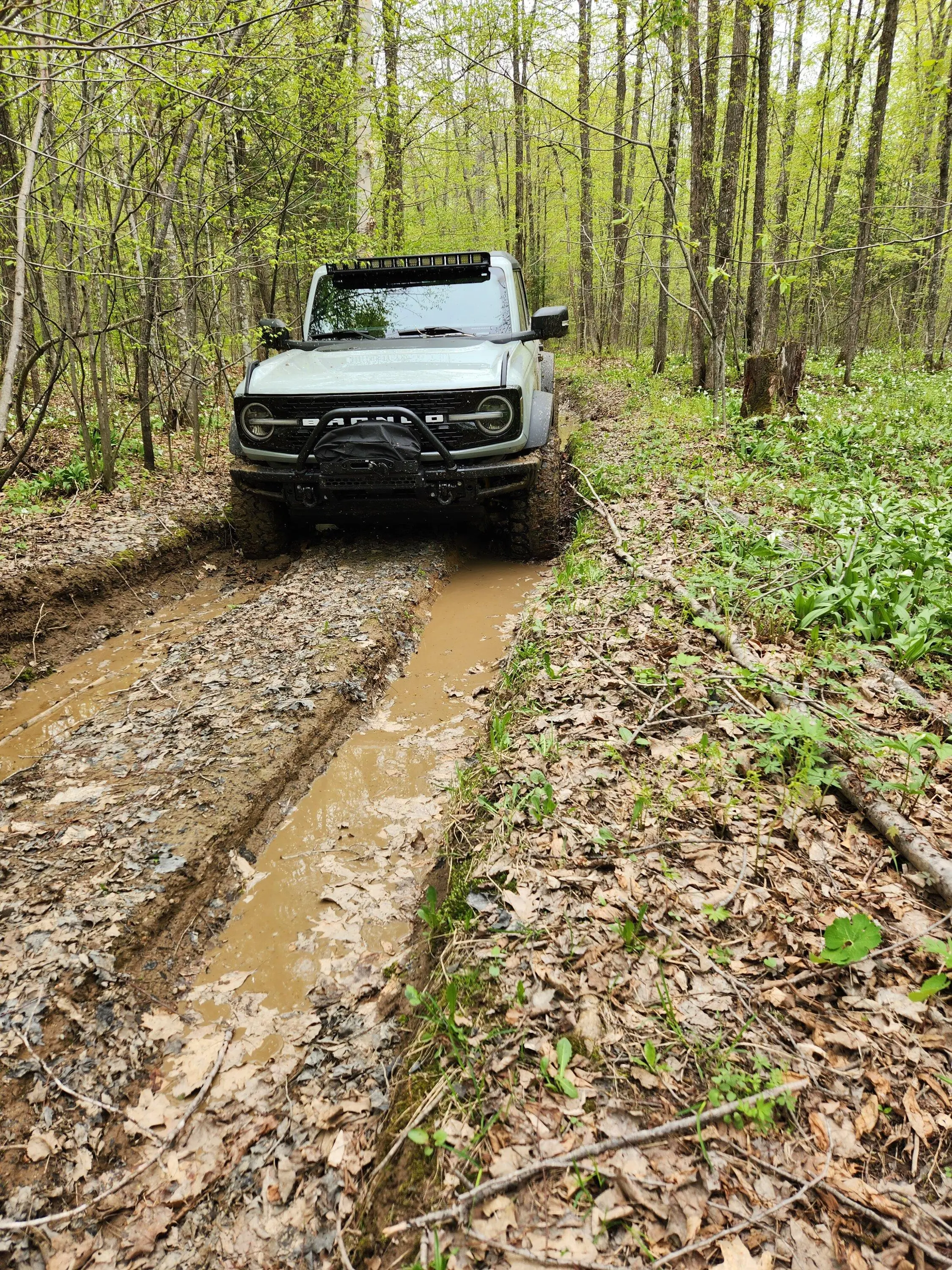 Ford Bronco Wisconsin Roll Call 20230514_113906