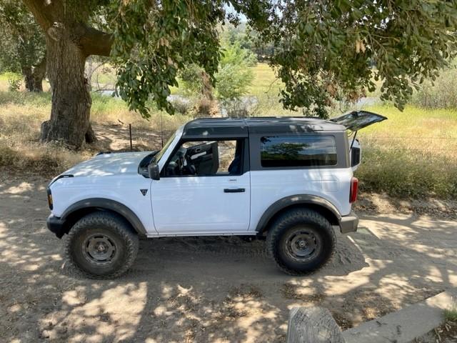 Ford Bronco Bronco Team 2 door. ysabel7