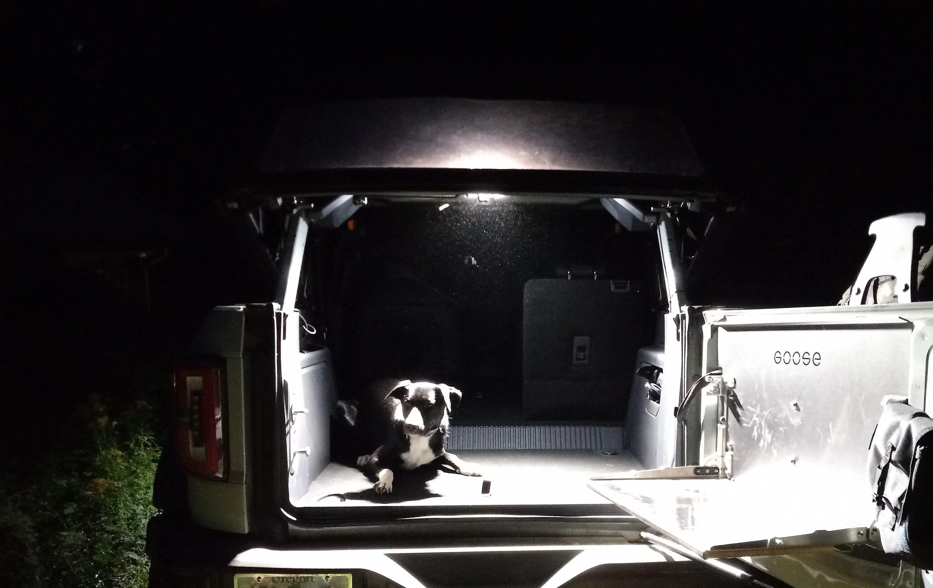 Ford Bronco What's the best tailgate table? goose.copy