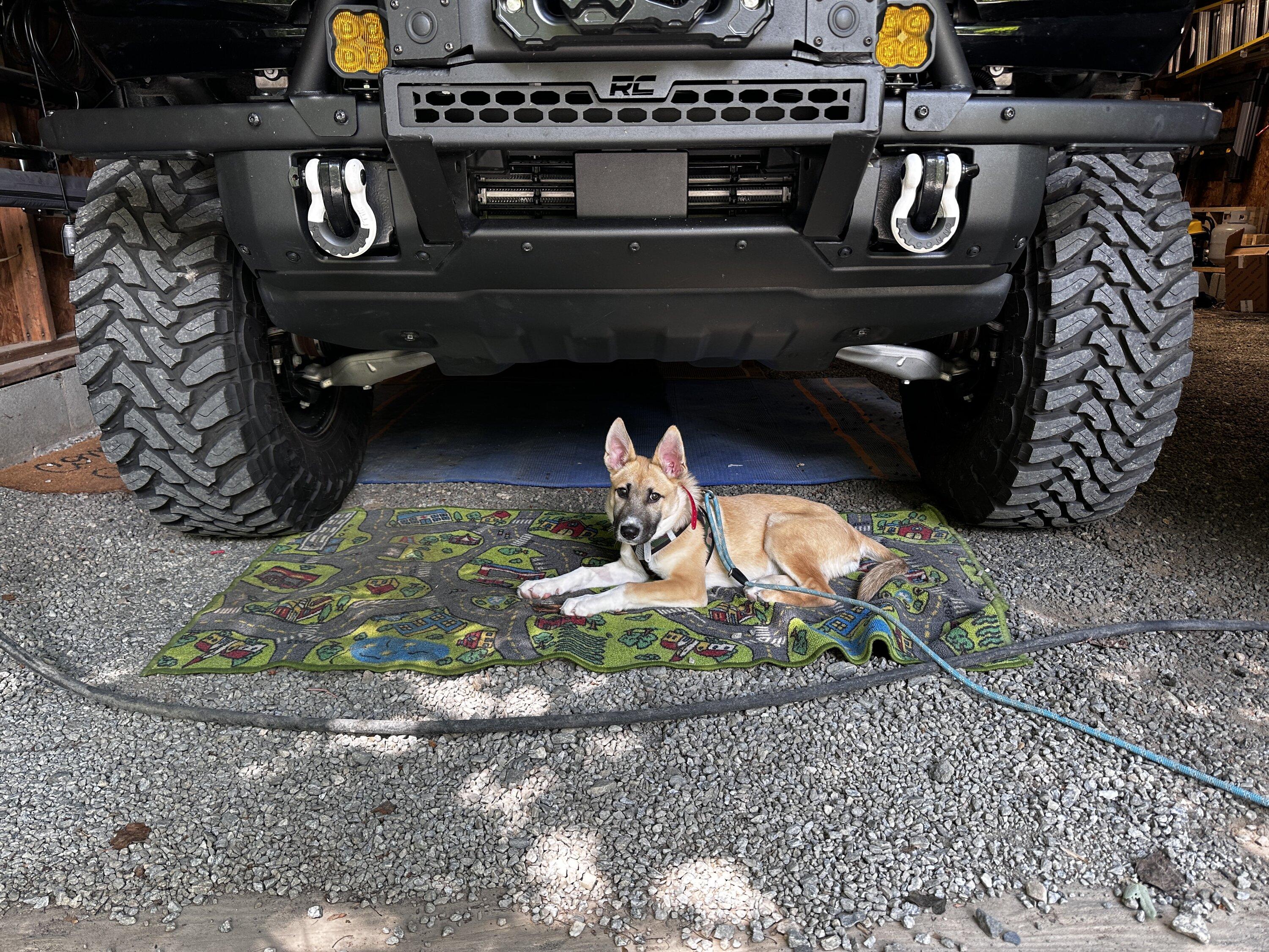 Ford Bronco What did you do TO / WITH your Bronco today? 👨🏻‍🔧🧰🚿🛠 IMG_7629