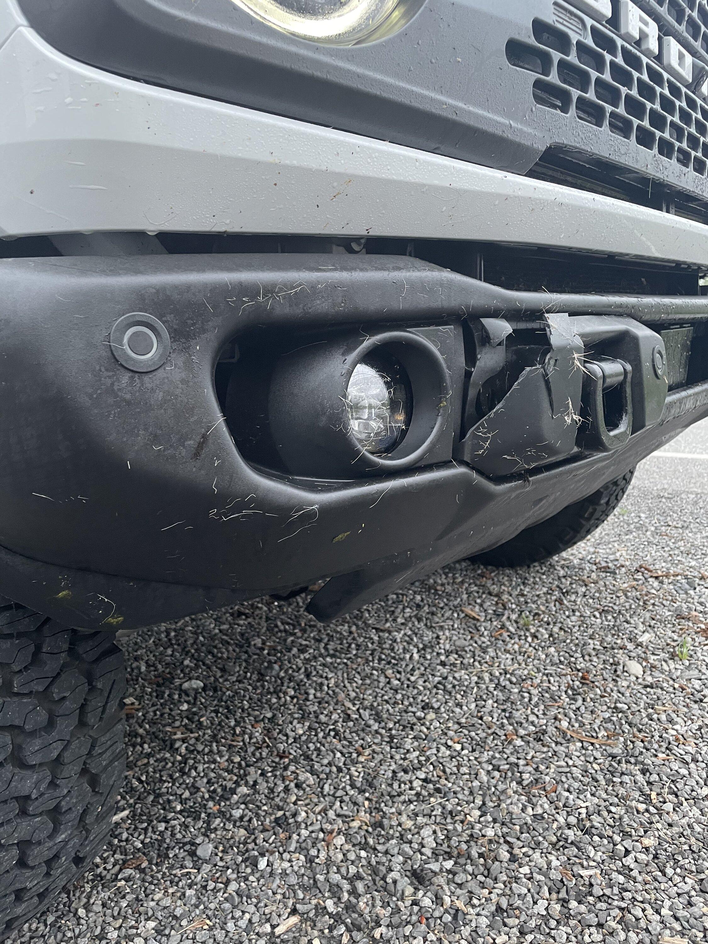 Ford Bronco Hit a (two) deer! 84714E1D-6DDA-4E97-BB82-205638263859