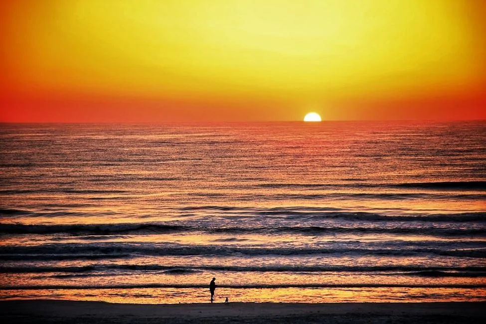 image-01.webp