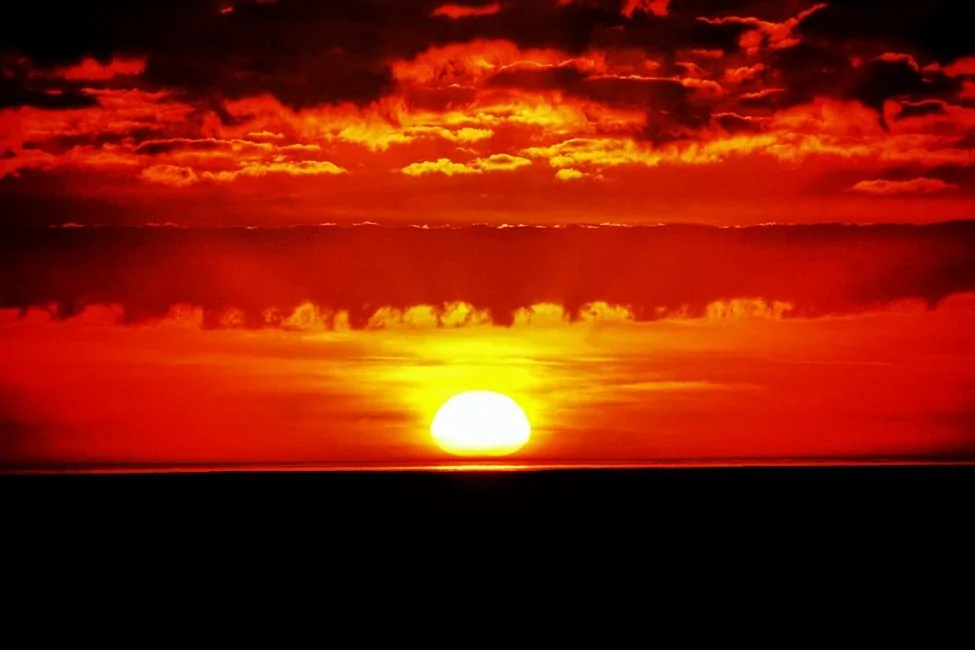 image-02.webp