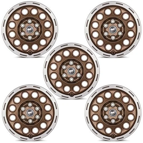 Ford Bronco Bronze Grille Lettering & Bronze Rear Emblem Overlay Kits for 2021+ Bronco IMG_4006