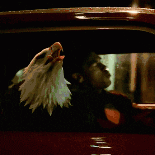 Ford Bronco USA-USA peacemaker-eagly
