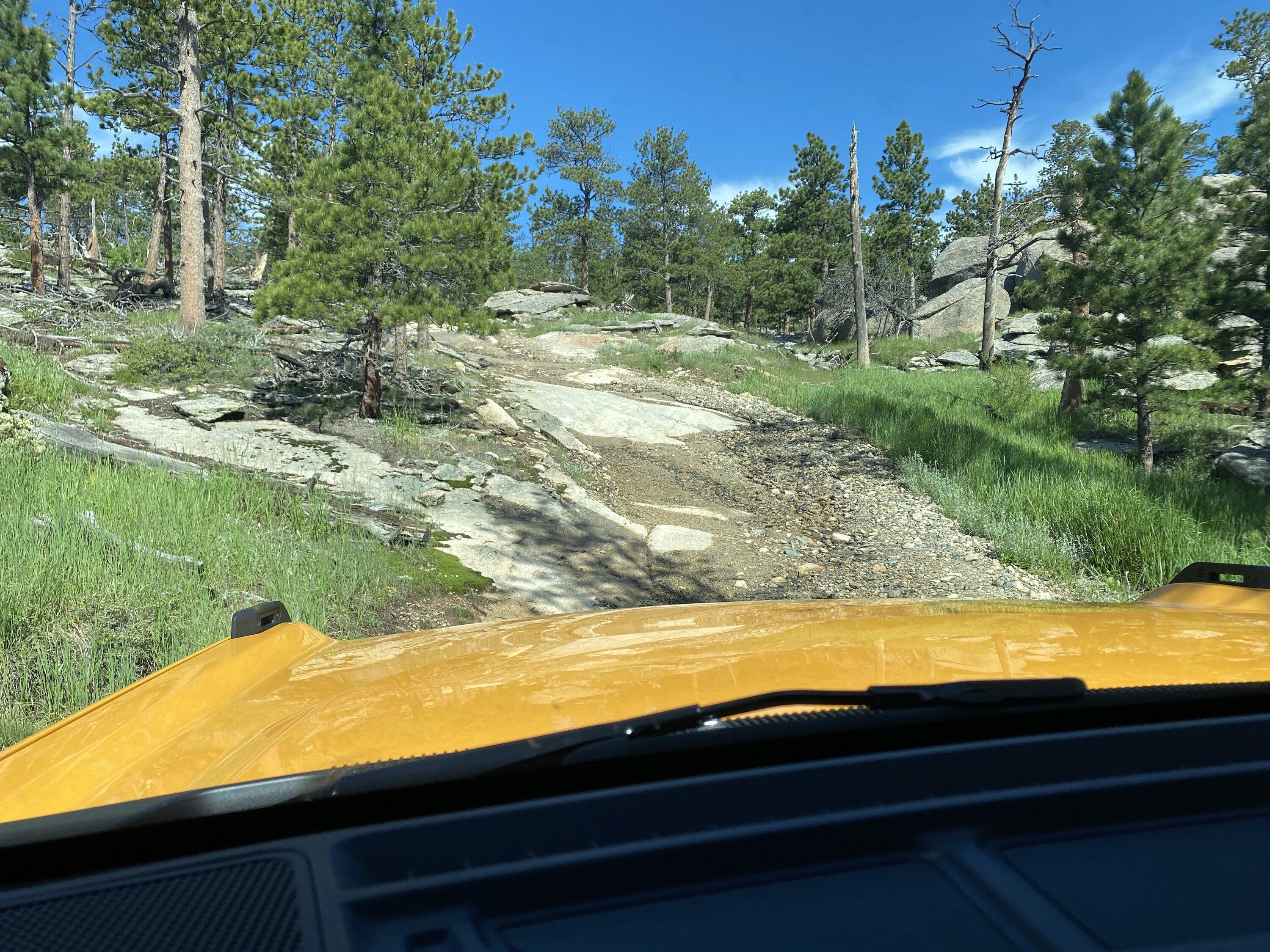 Ford Bronco Not changing a dam thing build. IMG_3488