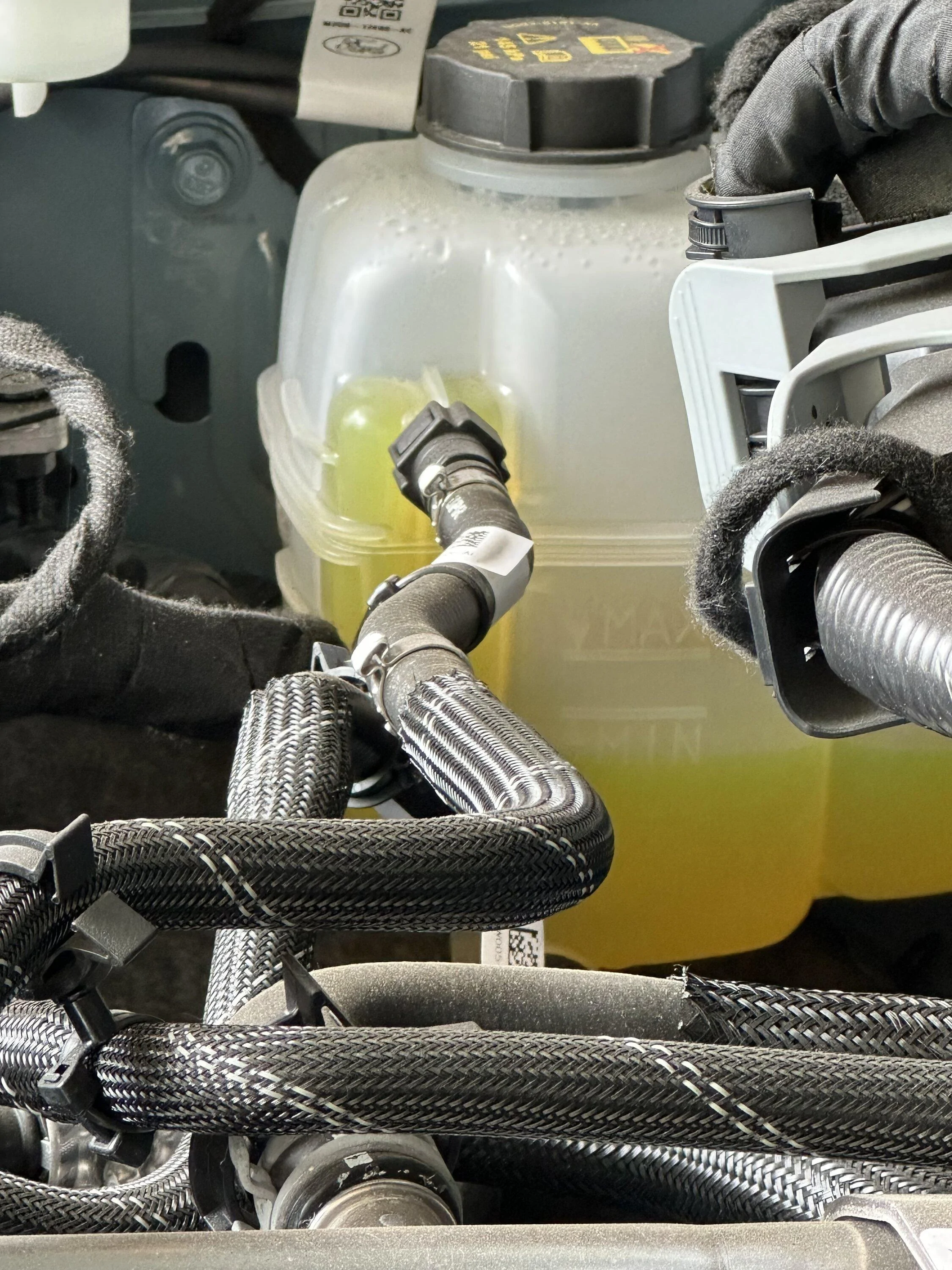 Ford Bronco Low coolant IMG_1061