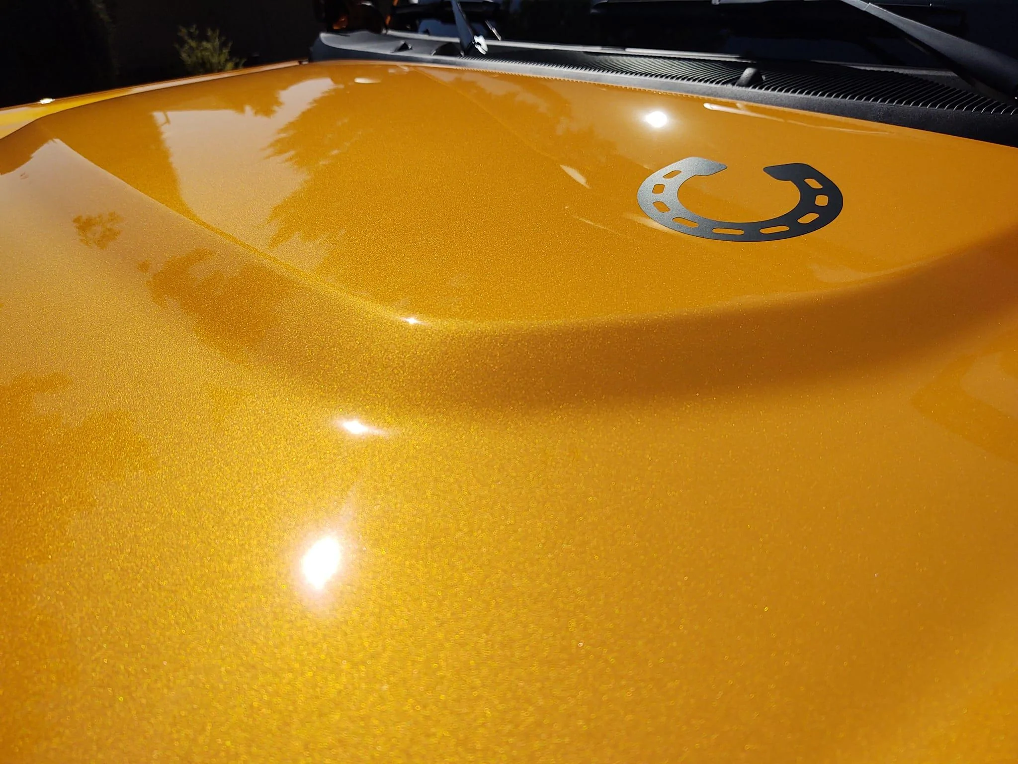 Ford Bronco 2024 Bronco Colors From Touch Up Paint Website HoodShinyDon